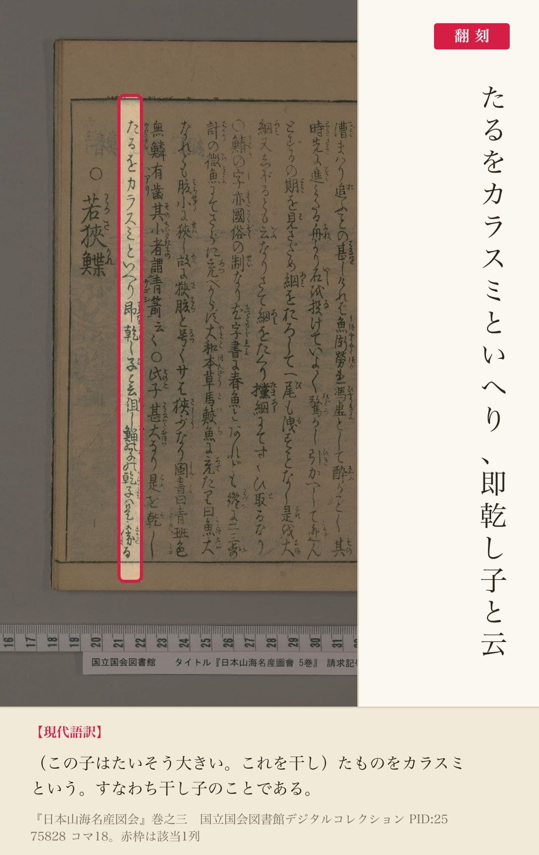 『日本山海名産図会』巻之三、サワラの子を干したものについての1列と翻刻