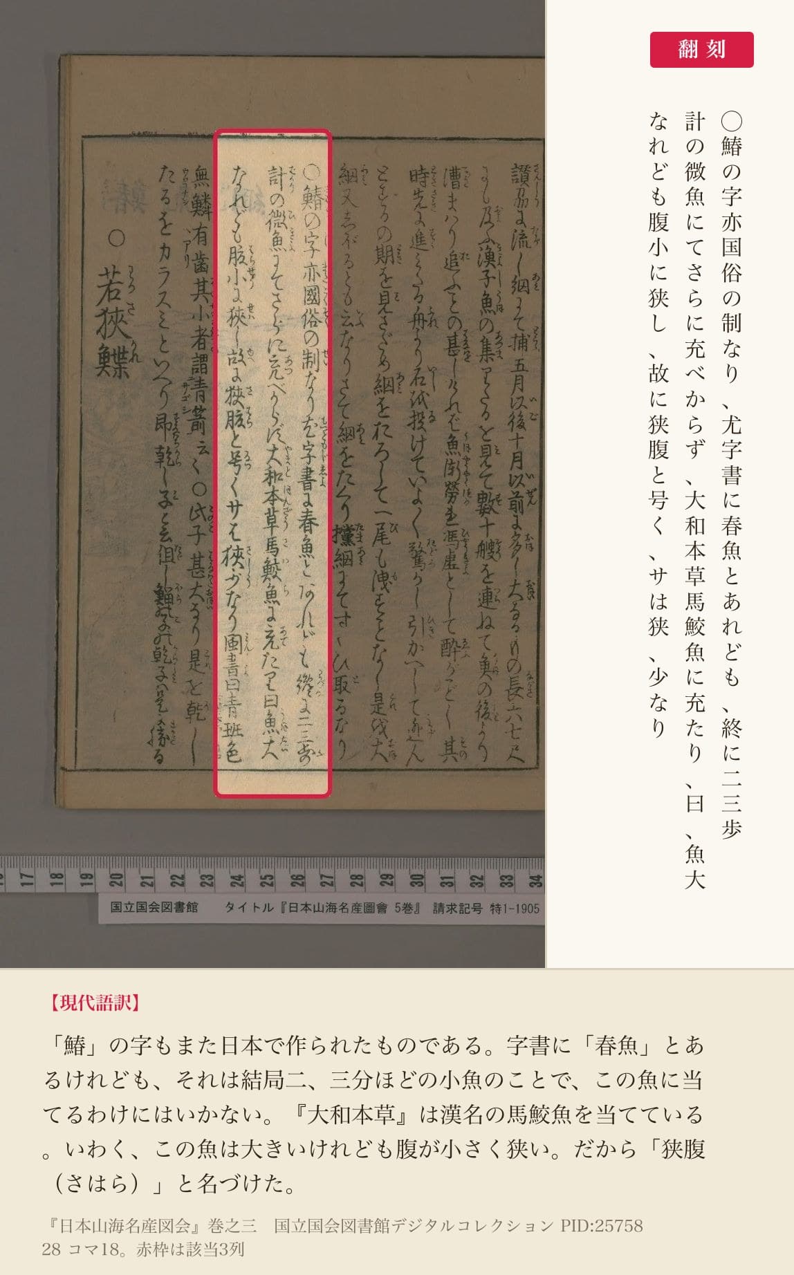 『日本山海名産図会』巻之三「鰆」の、字と語源を論じた3列と翻刻