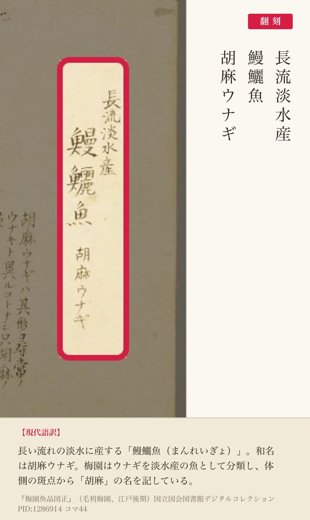 『梅園魚品図正』ウナギの図の見出し部分と翻刻(NDL PID 1286914 コマ44)