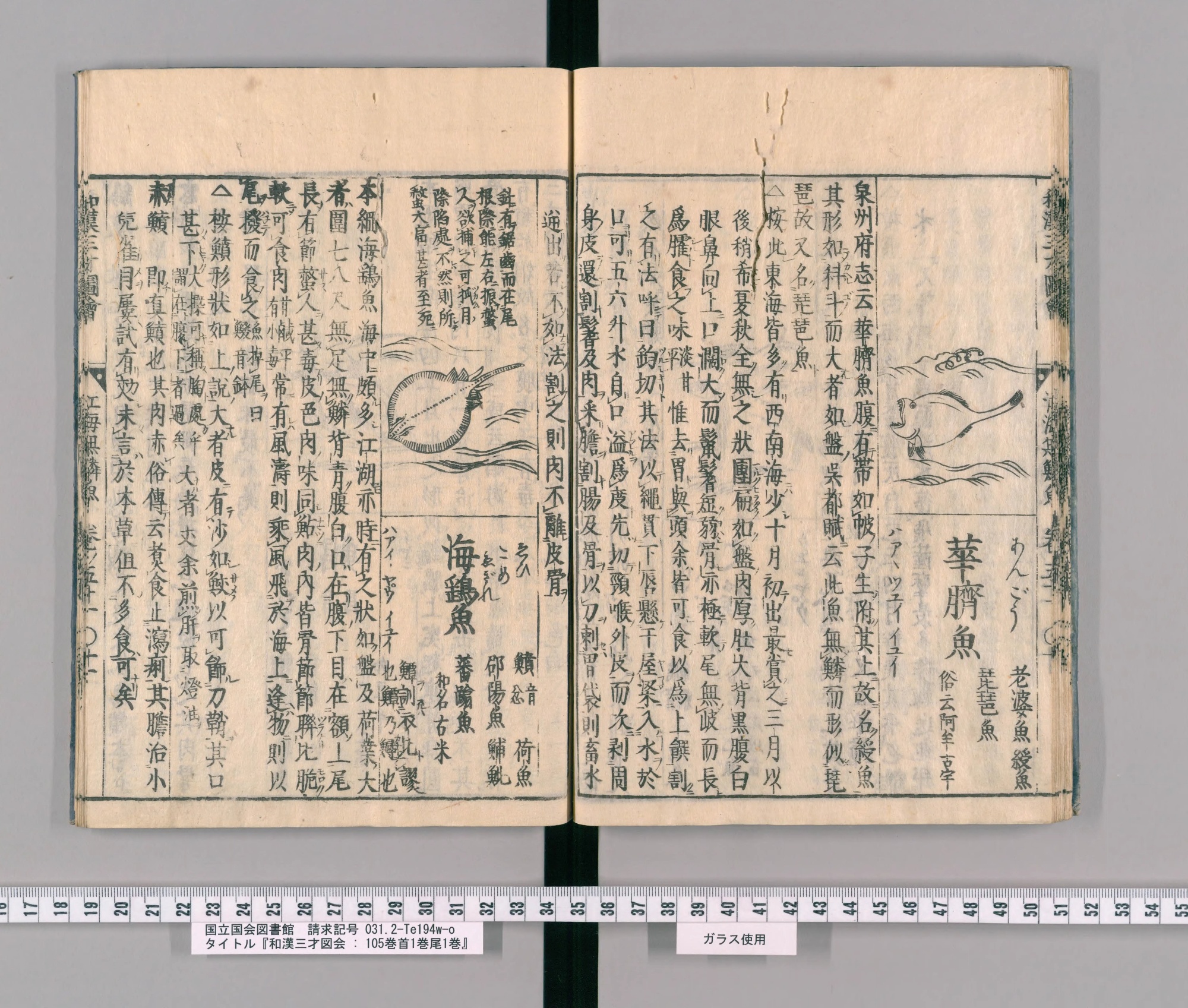 『和漢三才図会』巻五十一コマ21の見開き。右ページの区画に、大きな口を開けて波間にいる丸い魚の絵と見出し「華臍魚」