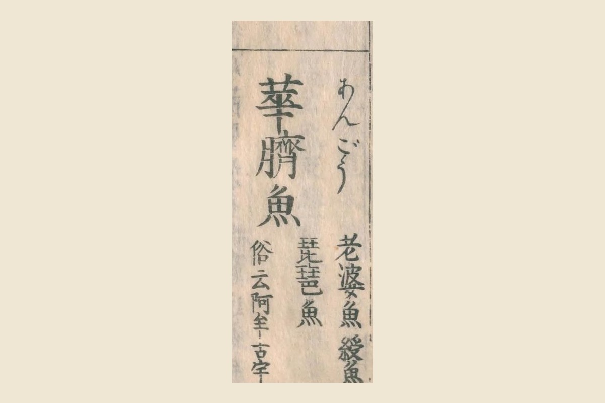 『和漢三才図会』の見出し「華臍魚（あんごう）」と脇の「老婆魚」「綬魚」「琵琶魚」「俗云阿牟古宇」の大写し