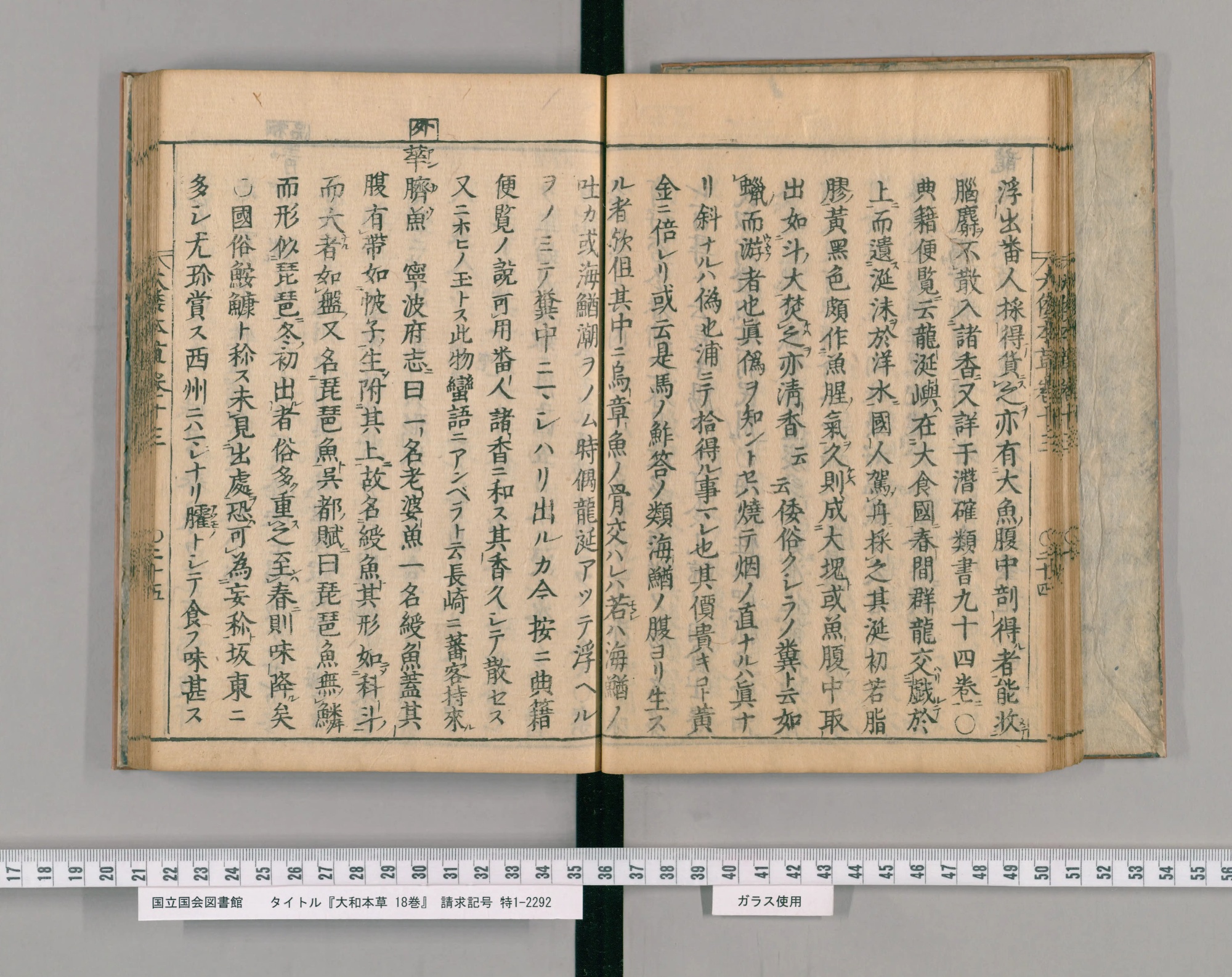 『大和本草』巻十三コマ27の見開き。左ページの右端に見出し「華臍魚」