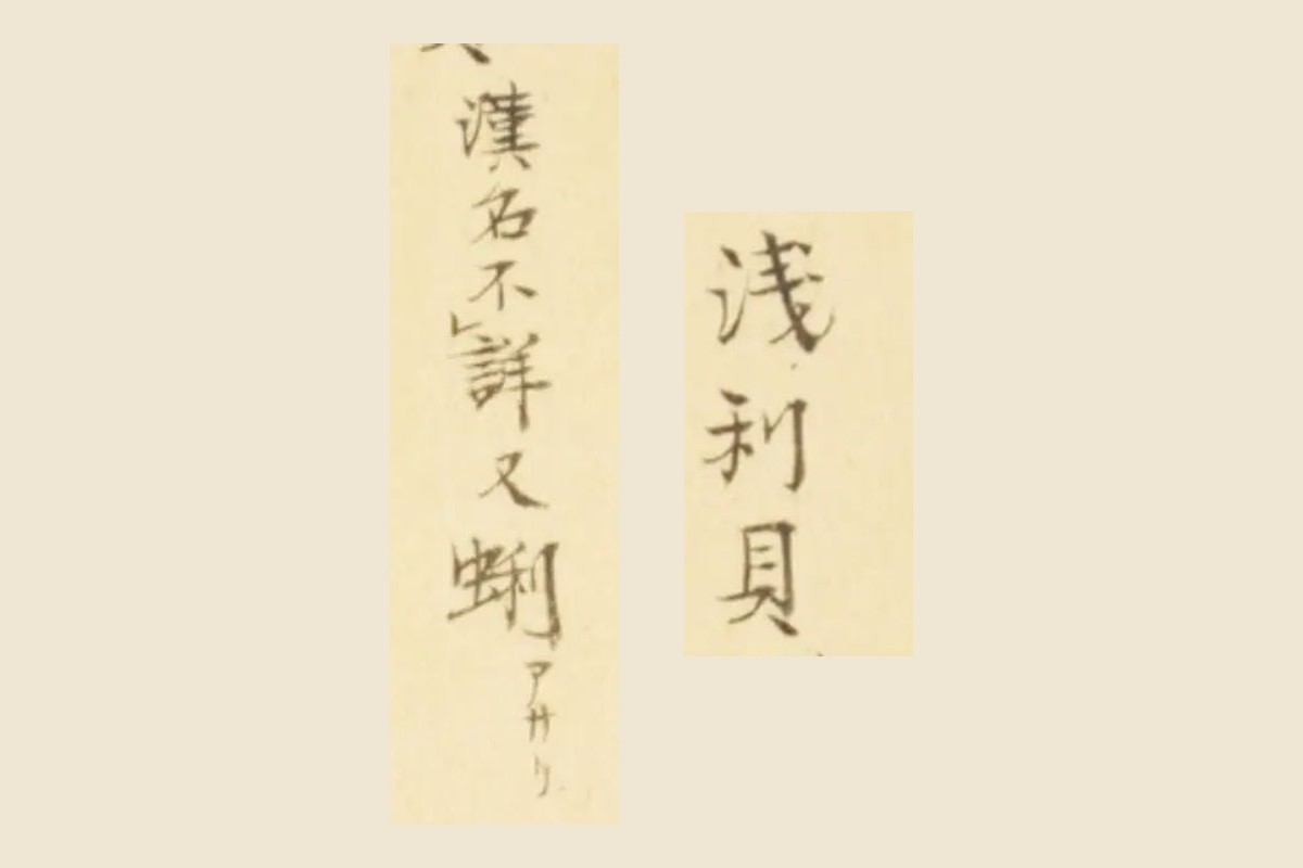 『梅園介譜』コマ40の書き入れ「浅利貝」「漢名不詳 又 蜊」の大写し