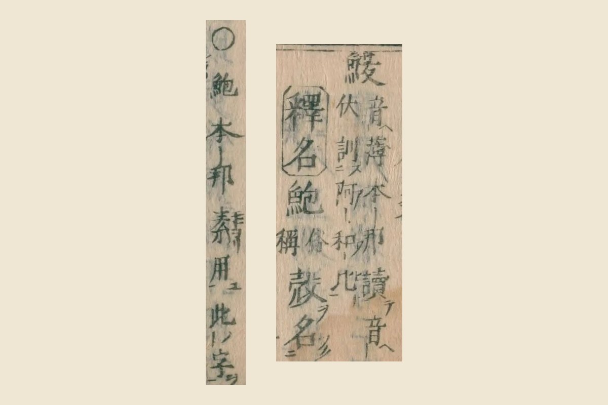 『本朝食鑑』コマ56の見出し「鰒」と「釋名 鮑 俗稱」、「○鮑本邦素用此字」の大写し