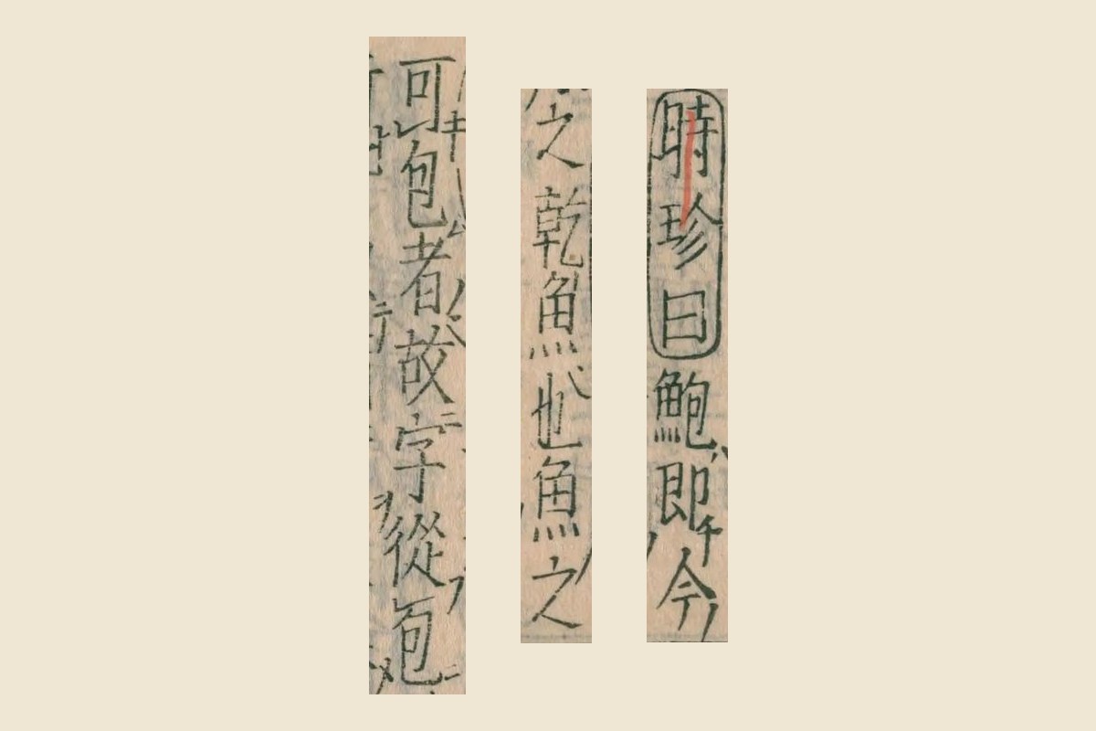 『本草綱目』コマ104の「時珍曰鮑即今」「之乾魚也魚之」「可包者故字從包」の大写し