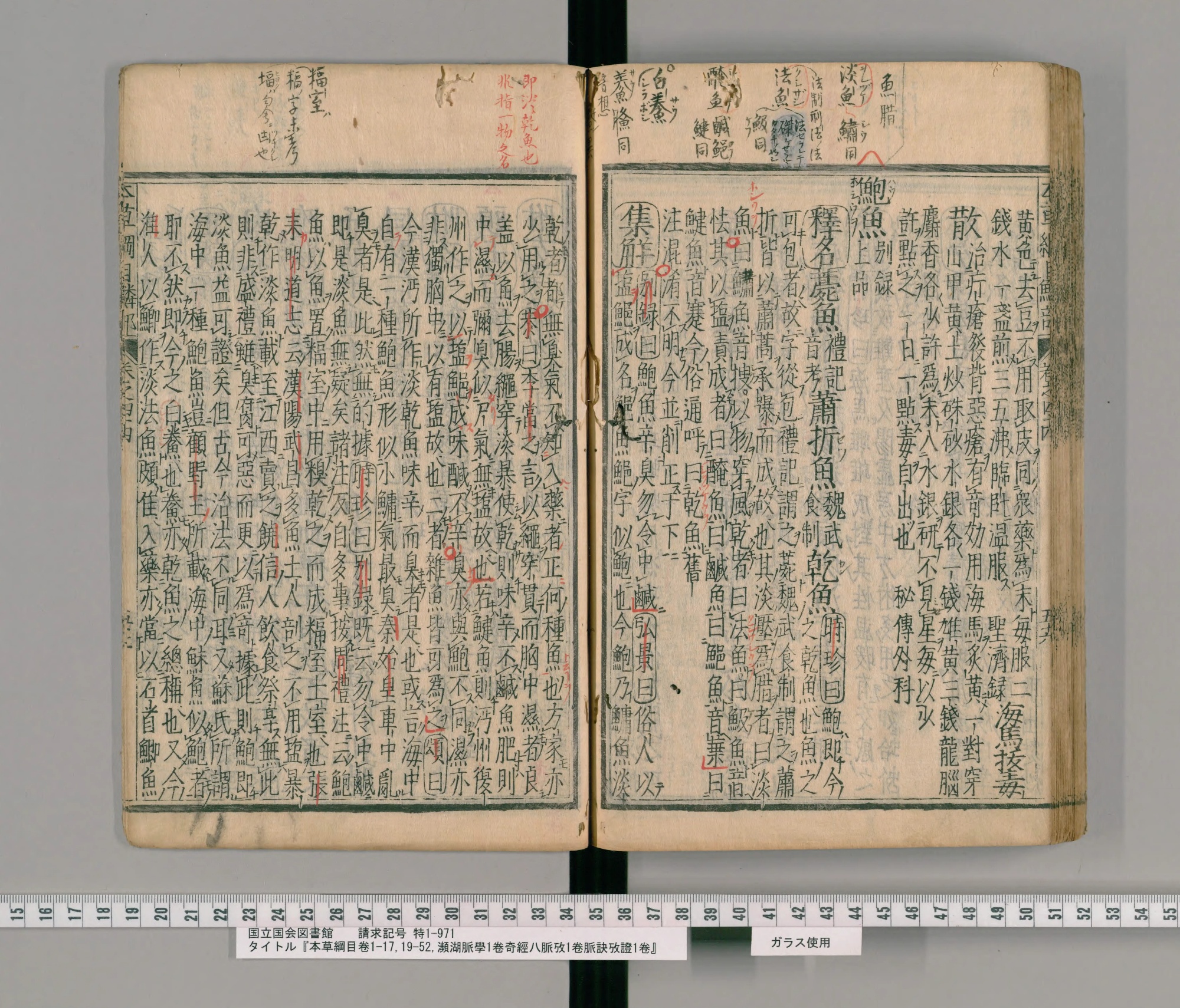『本草綱目』巻四十四コマ104の見開き。右ページの中ほどに見出し「鮑魚」。上の余白に墨と朱の書き入れ