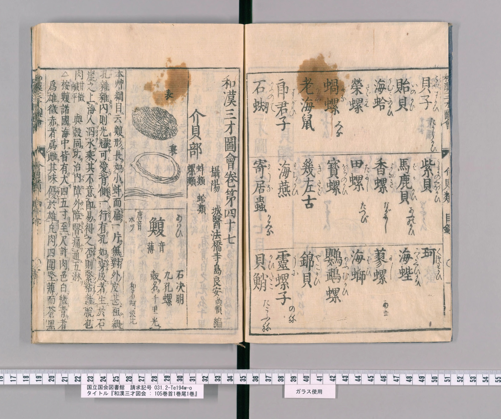 『和漢三才図会』巻四十七コマ3の見開き。左ページに巻の題と、表・裏を描いたアワビの絵、その下に見出し「鰒」