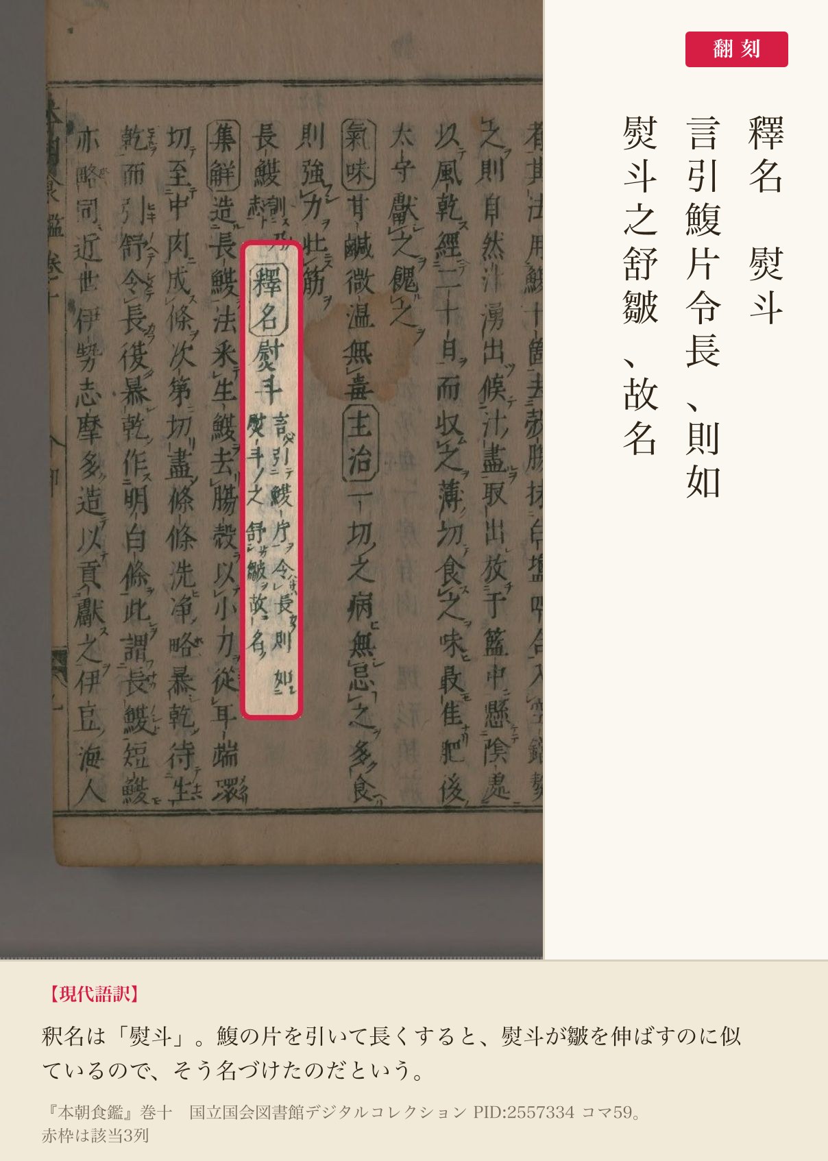 『本朝食鑑』巻十「長鰒」の釈名と翻刻