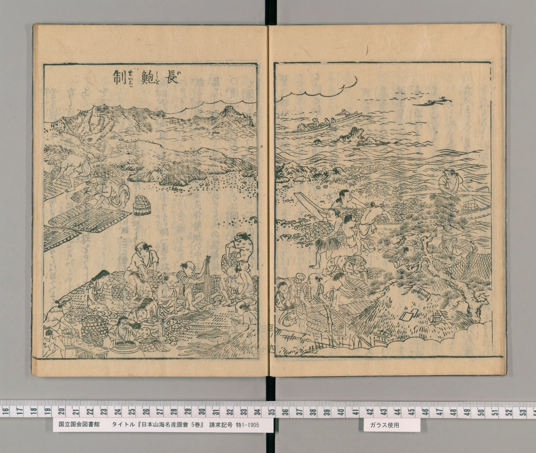 『日本山海名産図会』巻之三の見開き図。左ページ上の題字は「長鮑制」で、「長鮑」に「のし」のルビがある