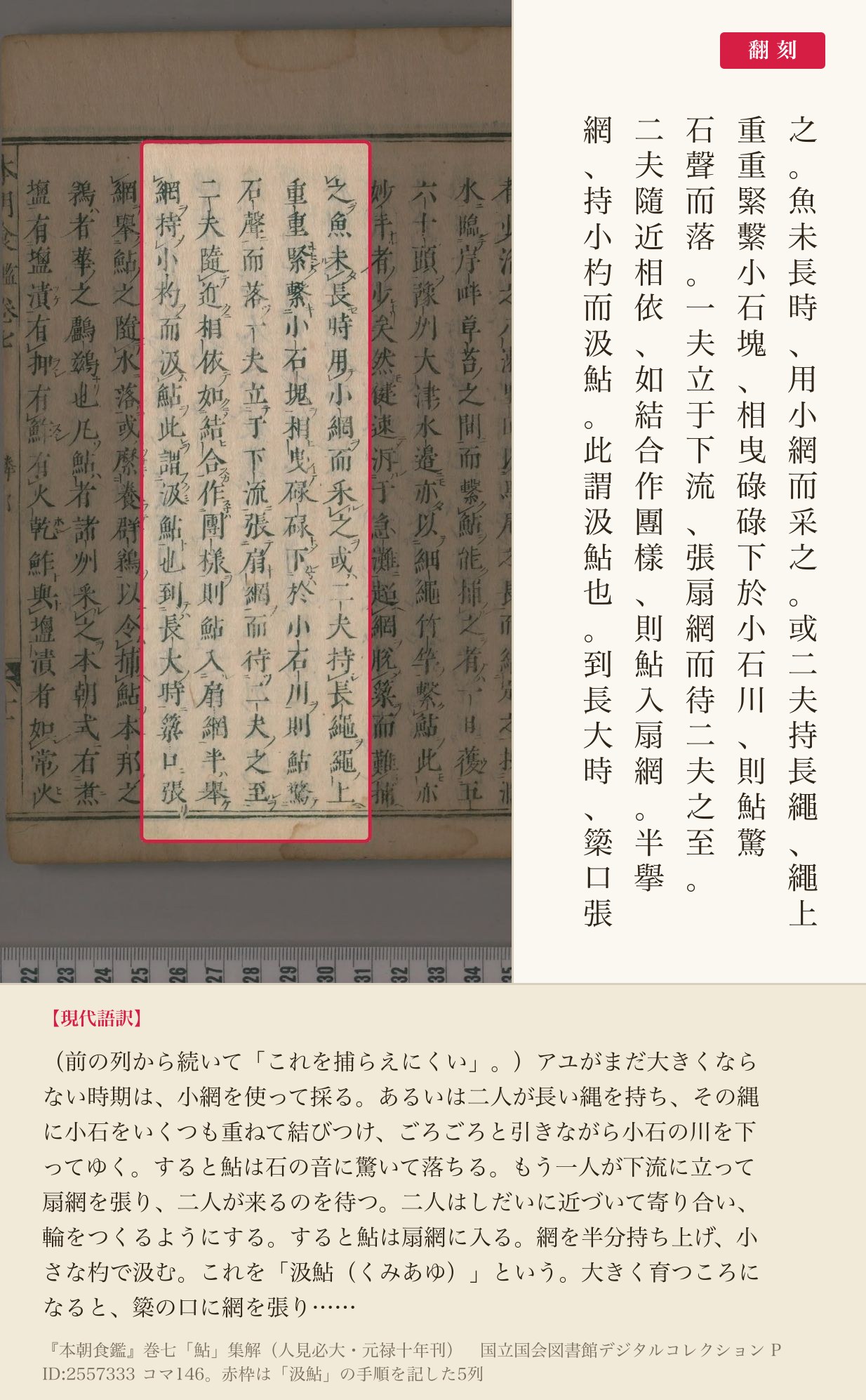 『本朝食鑑』巻七「鮎」集解の、「汲鮎」の手順を記した5列と翻刻