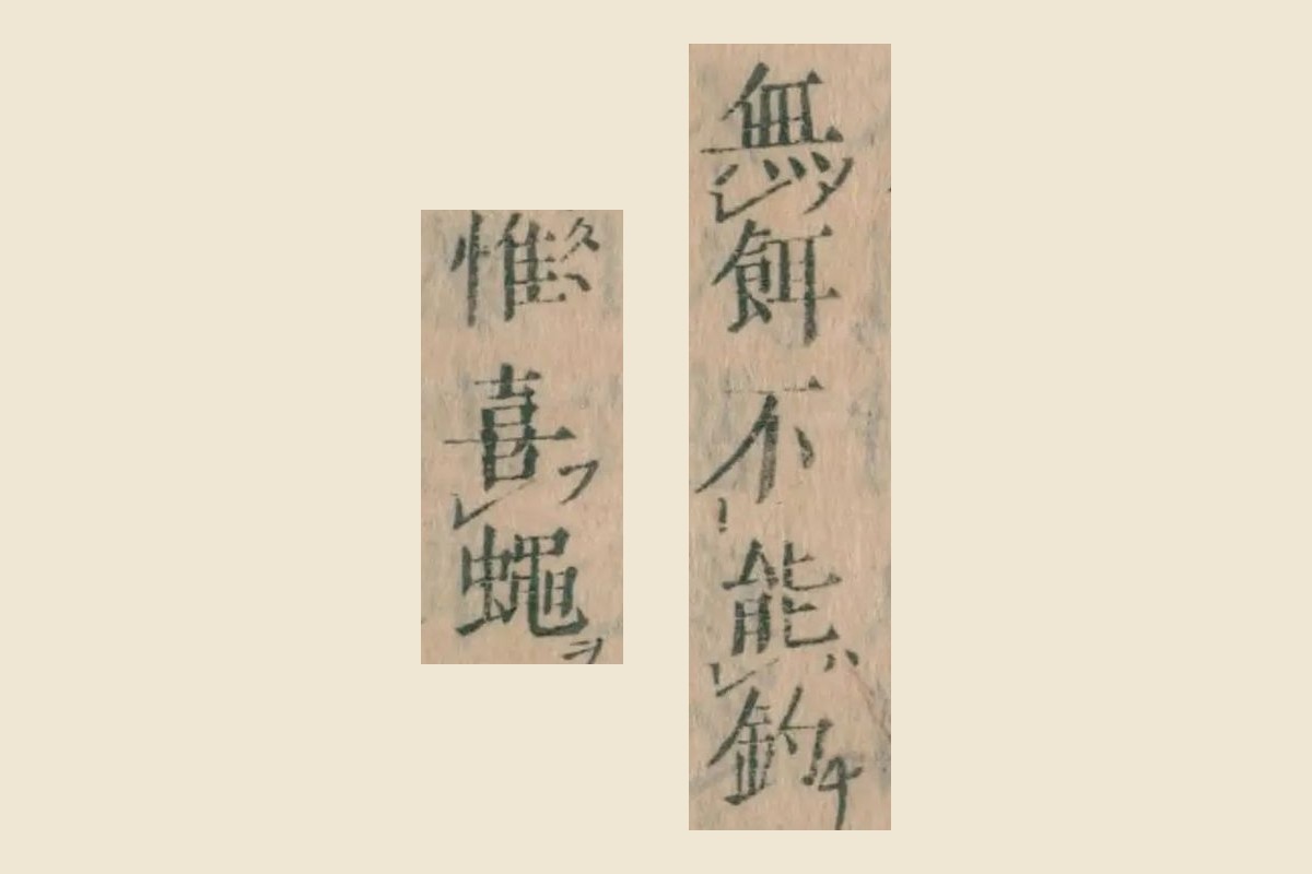 『本朝食鑑』巻七「鮎」集解の「無餌不能釣」「惟喜蠅」の大写し
