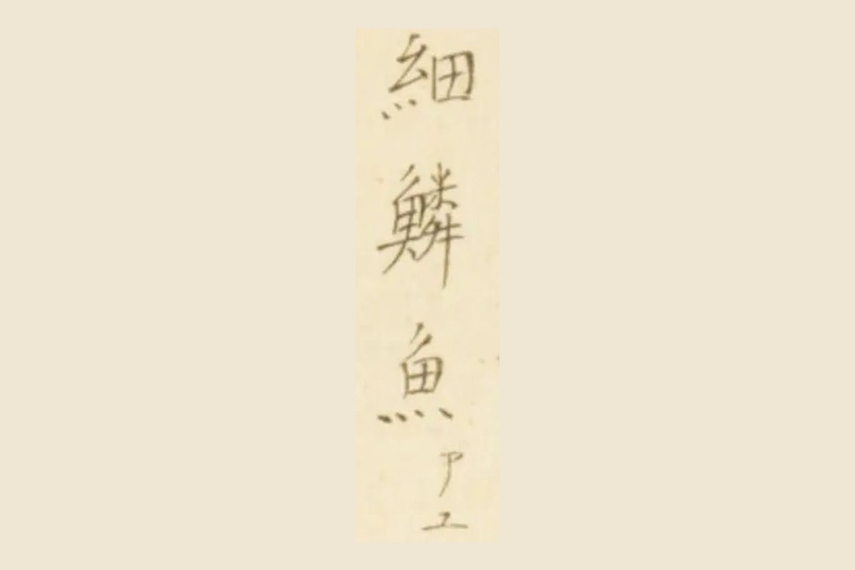 『梅園魚品図正』巻一 コマ29の見出し「細鱗魚」の大写し
