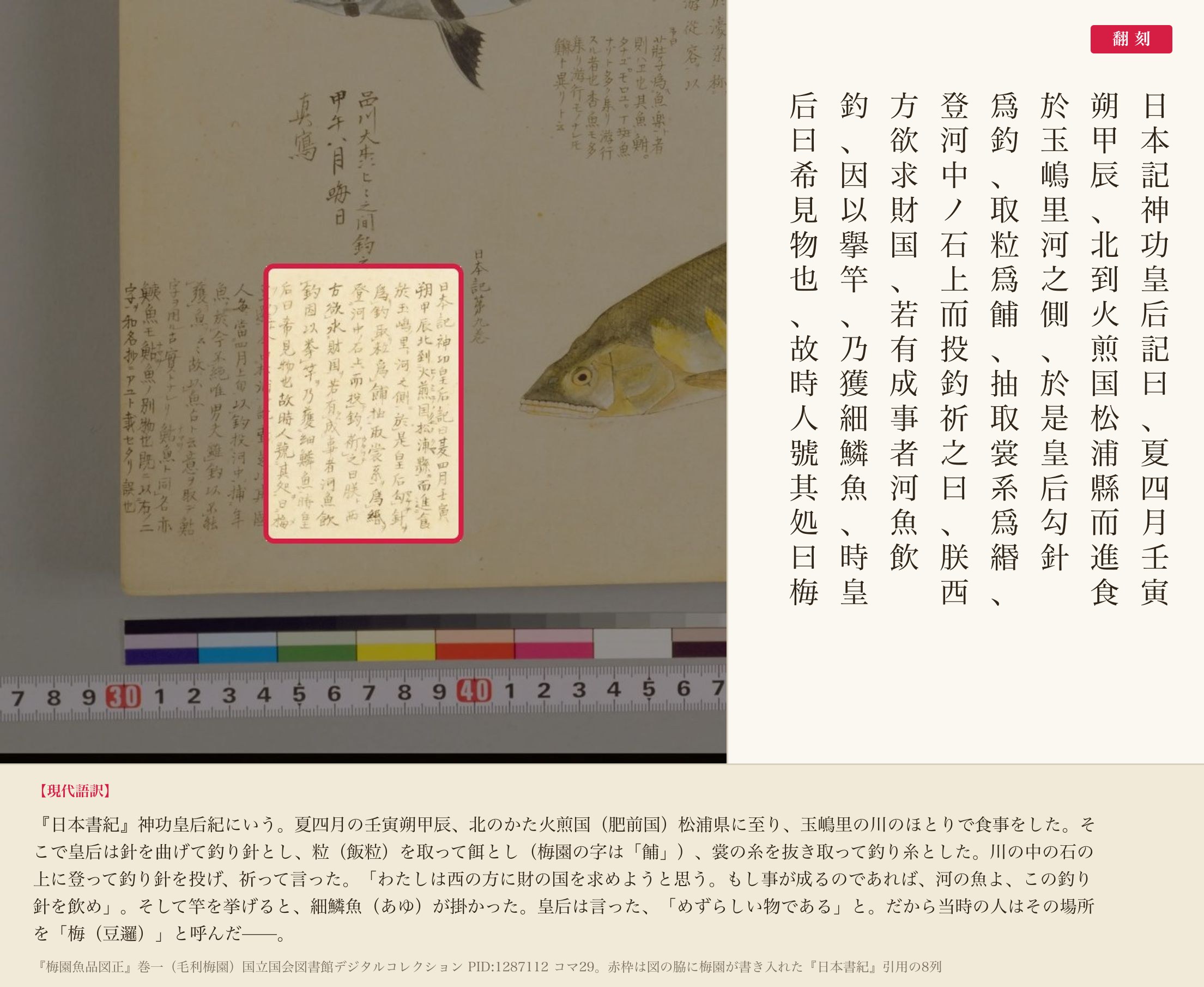 『梅園魚品図正』の書き入れのうち、『日本書紀』神功皇后紀を引いた部分と翻刻
