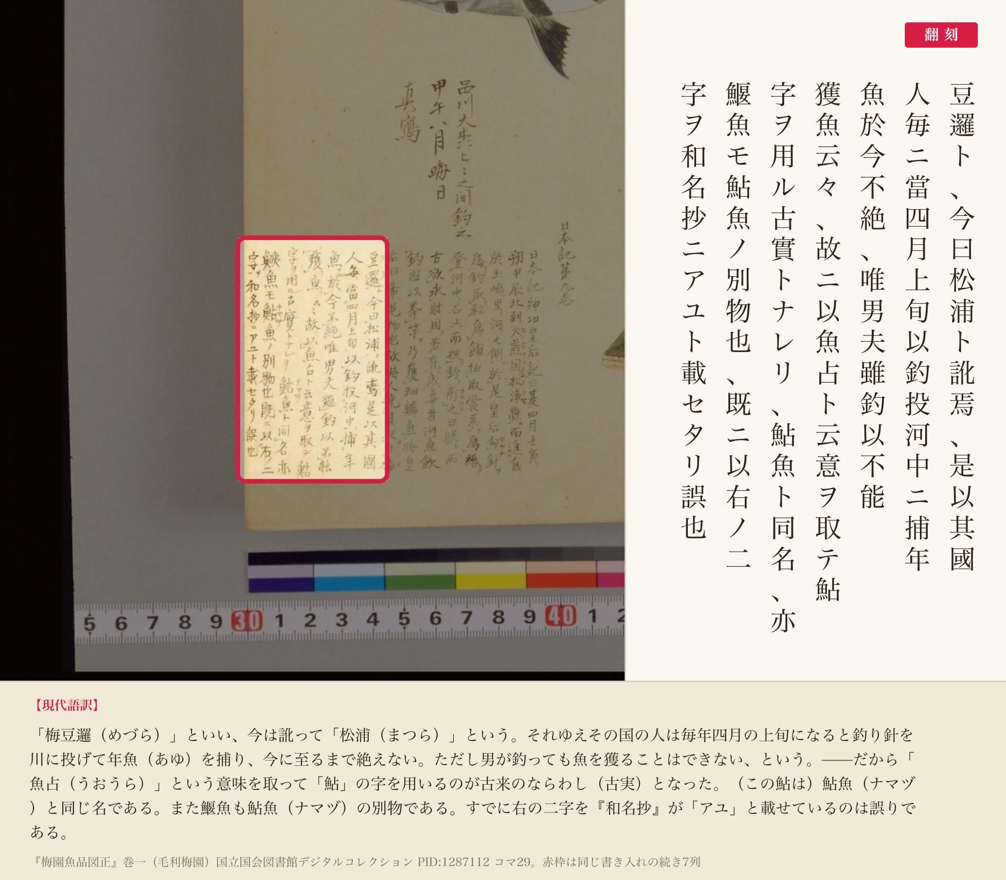 『梅園魚品図正』の書き入れの続き。松浦の地名と「魚占」について記した部分と翻刻