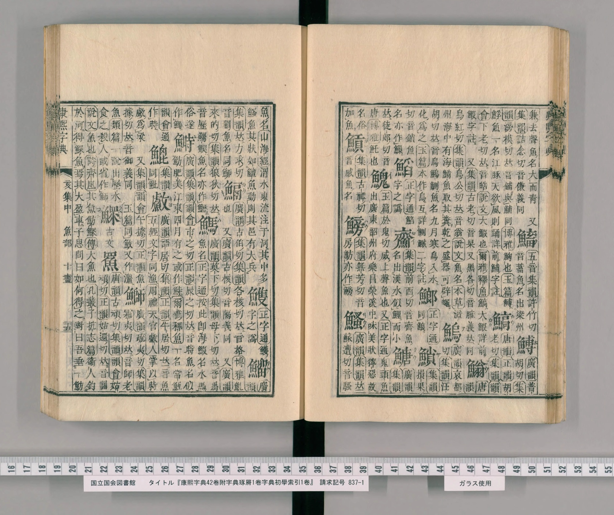 『康熙字典』魚部コマ27の見開き。左ページの右端の列の下に見出しの字「鰡」