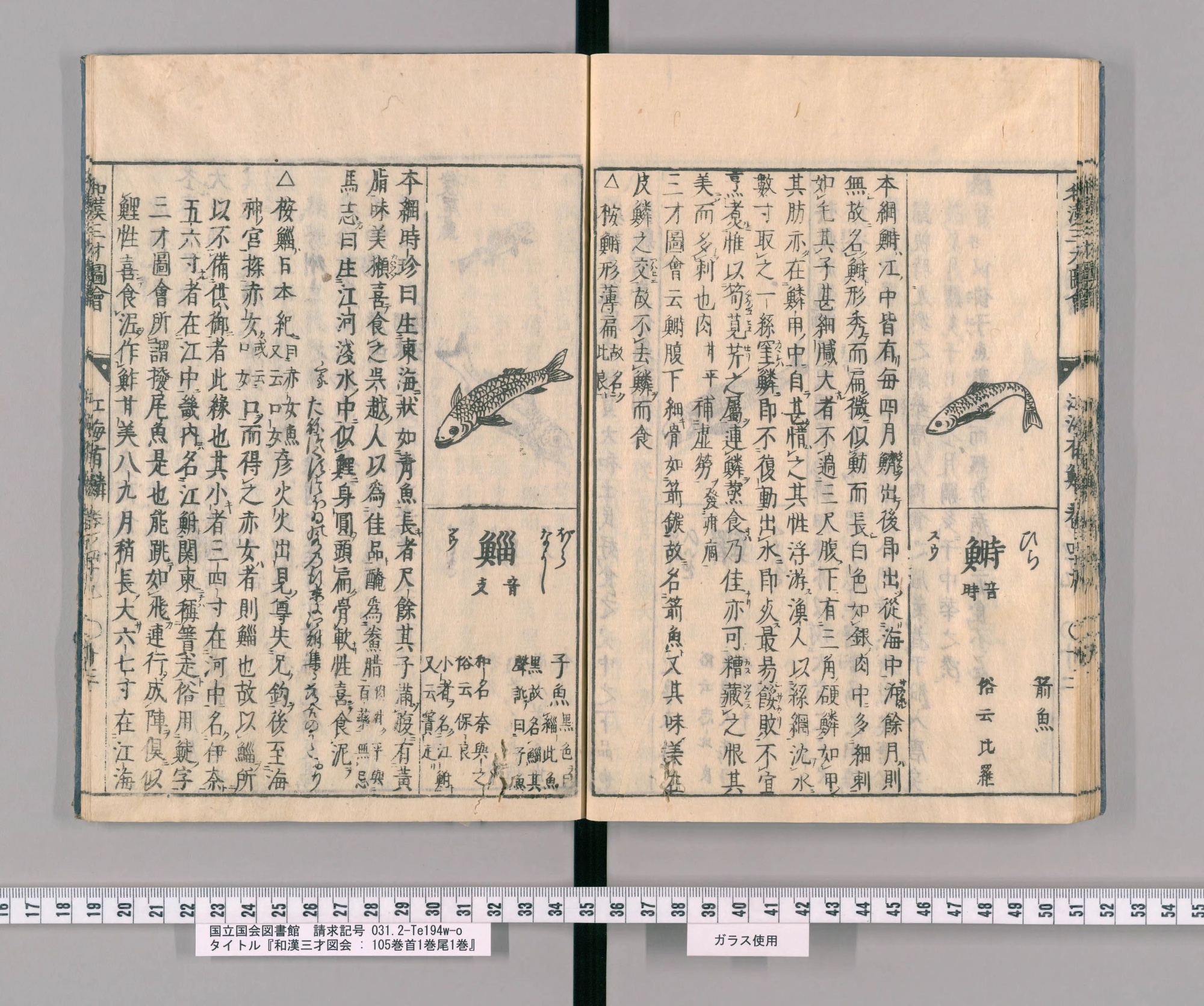 『和漢三才図会』巻四十九コマ30の見開き。左ページの右に魚の絵と大きな見出しの字