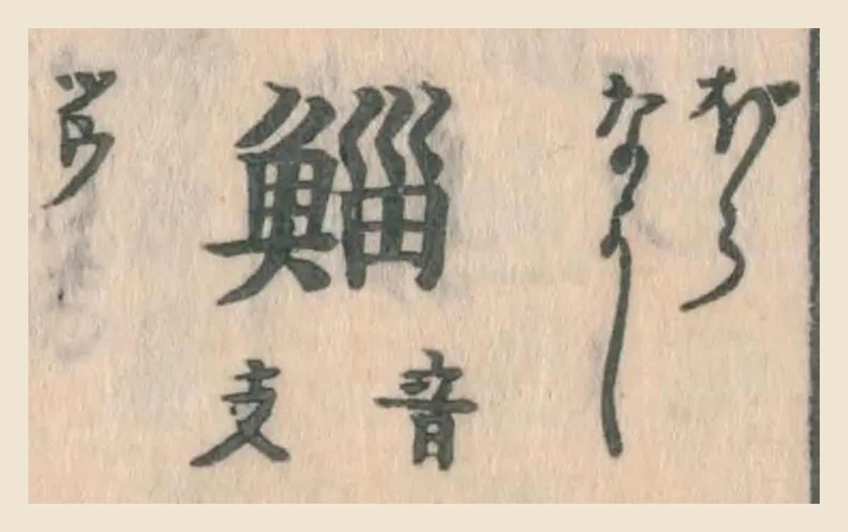 『和漢三才図会』コマ30の見出し「鯔」と振り仮名、「音支」の大写し