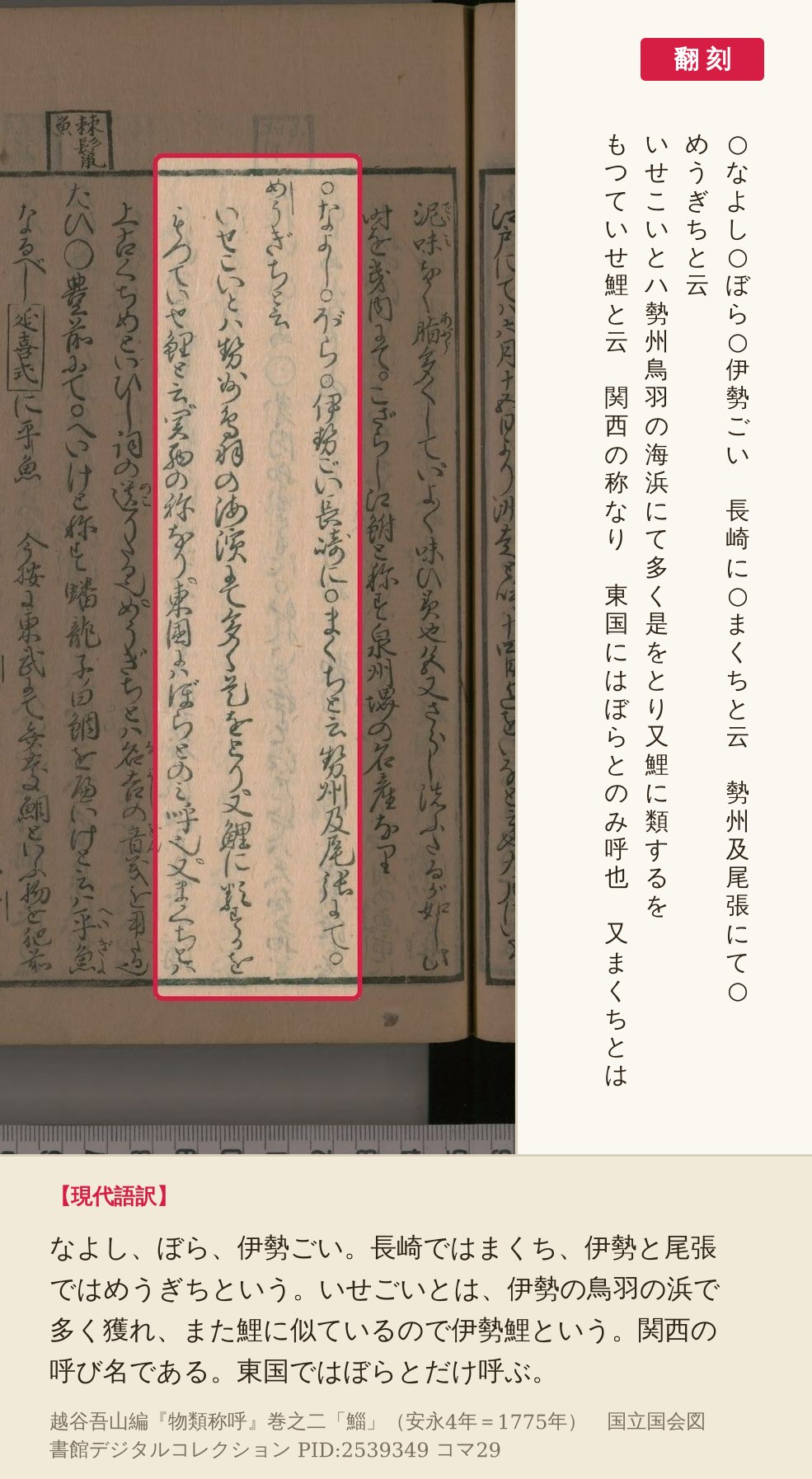 『物類称呼』コマ29の左ページ、なよし・ぼら・伊勢ごいの名前と、いせ鯉を関西の称とする4列の赤枠と翻刻