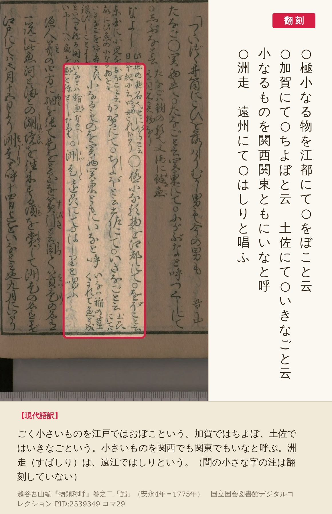 『物類称呼』コマ29の鯔の項のうち、小さいものの呼び名を国ごとに並べた4列の赤枠と翻刻