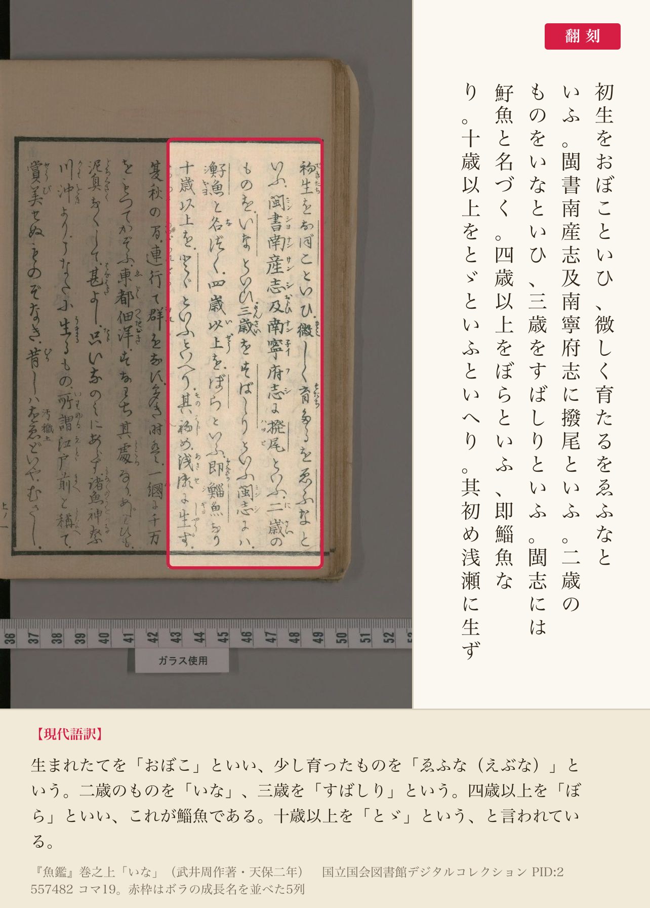 『魚鑑』巻之上「いな」の、ボラの成長名を並べた5列と翻刻