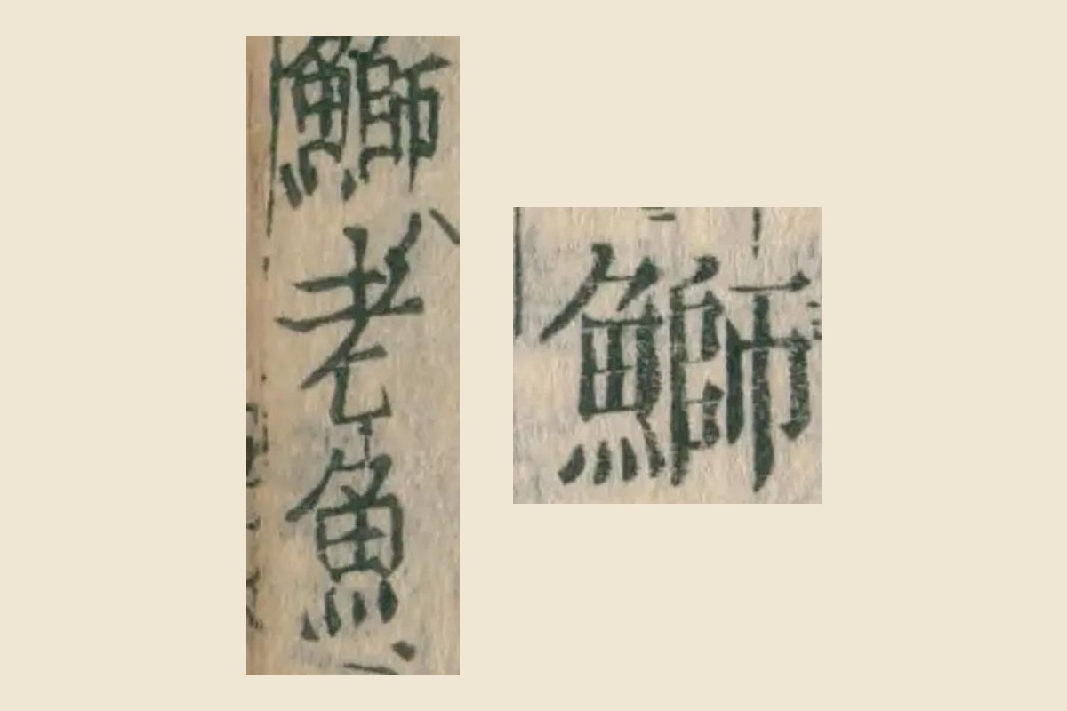 『康熙字典』の見出し「鰤」と、『本草綱目』の「鰤老魚」の大写し