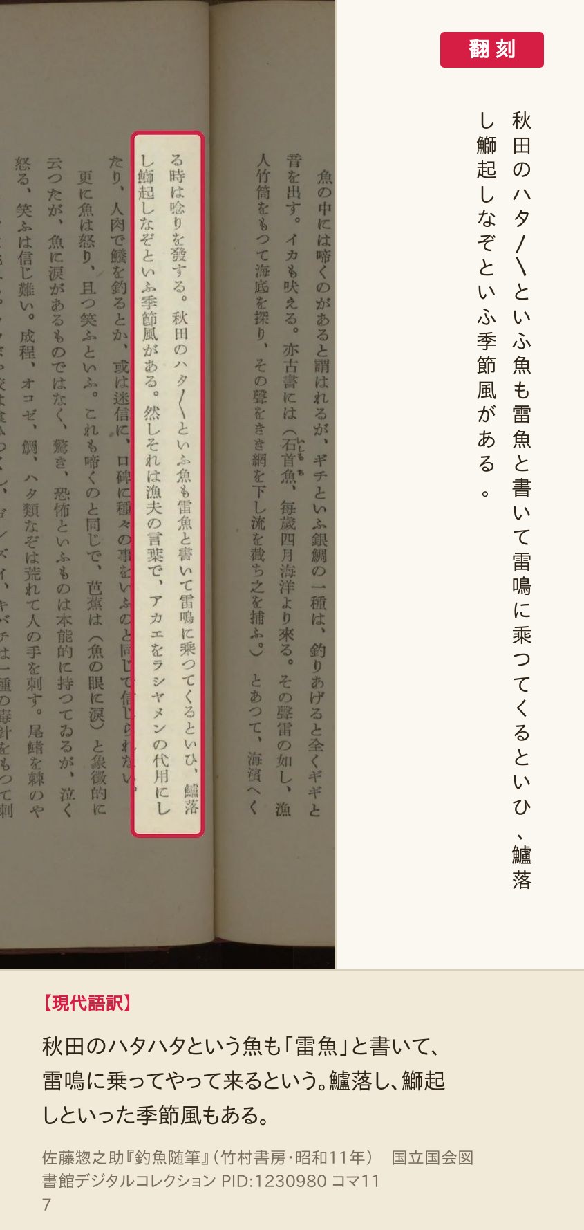 『釣魚随筆』コマ117の「秋田のハタ〳〵といふ魚も」から「季節風がある。」までの2列と翻刻