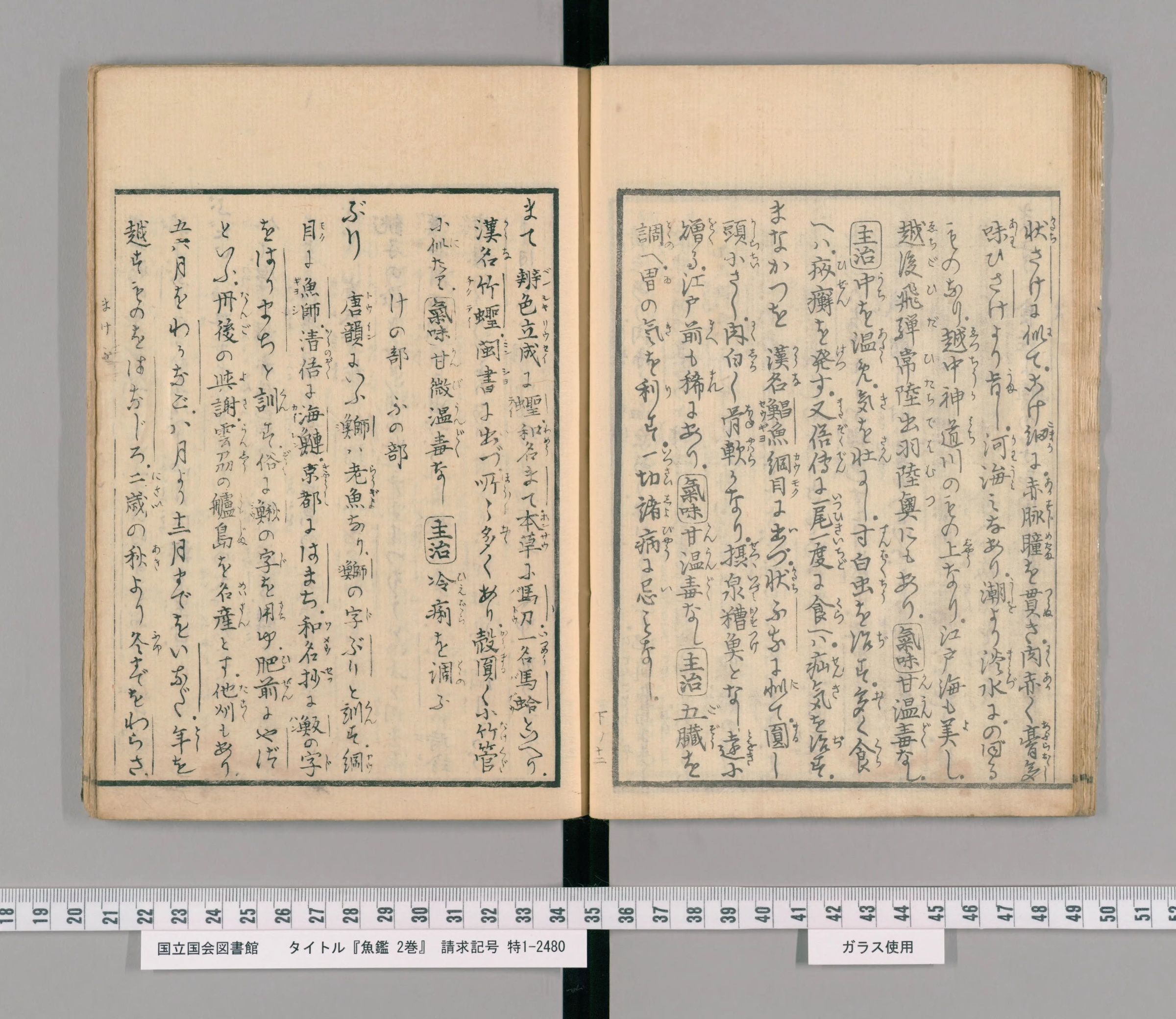 『魚鑑』巻の下の見開き。左ページの後半に見出し「ぶり」