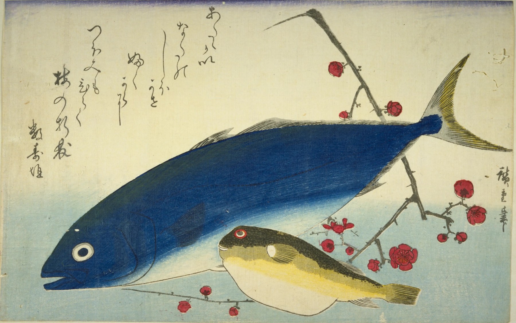 歌川広重の魚尽くしの錦絵。藍色の背の大きな魚と黄色いフグ、紅梅の枝