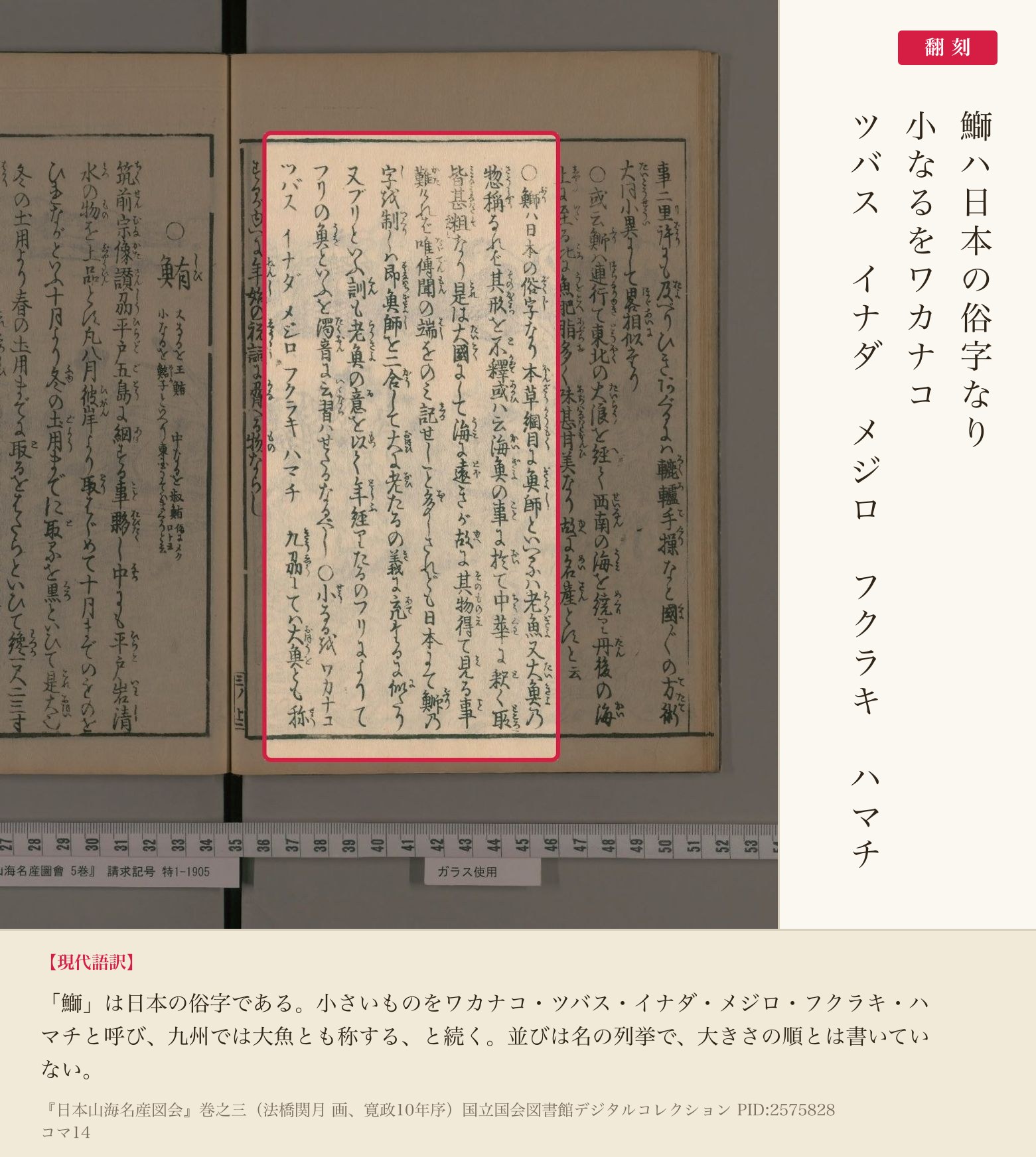 『日本山海名産図会』鰤の俗字と成長名の赤枠注釈と翻刻