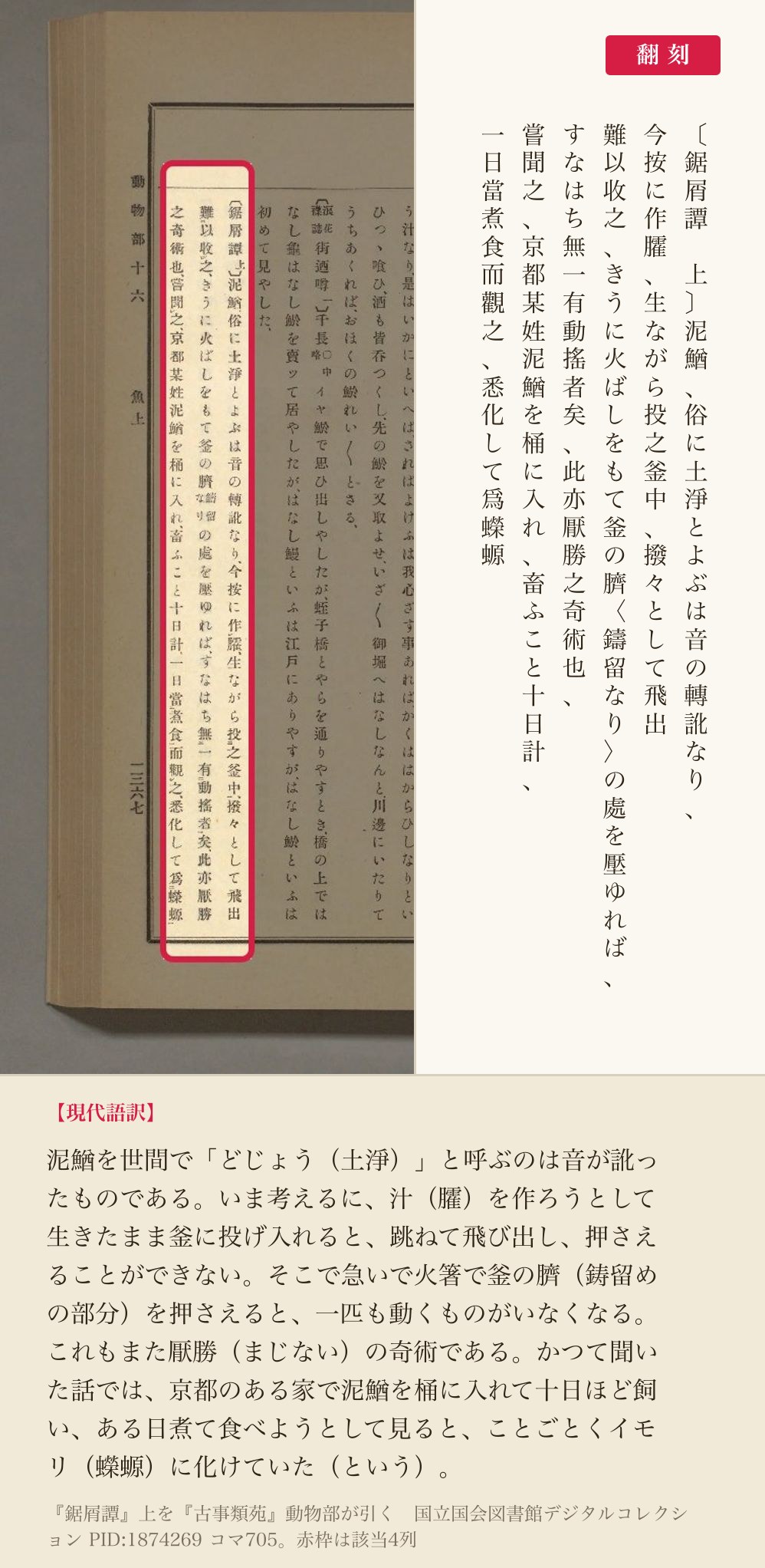 『古事類苑』動物部が引く『鋸屑譚』上の、ドジョウを釜に入れるときの話とイモリの話4列と翻刻