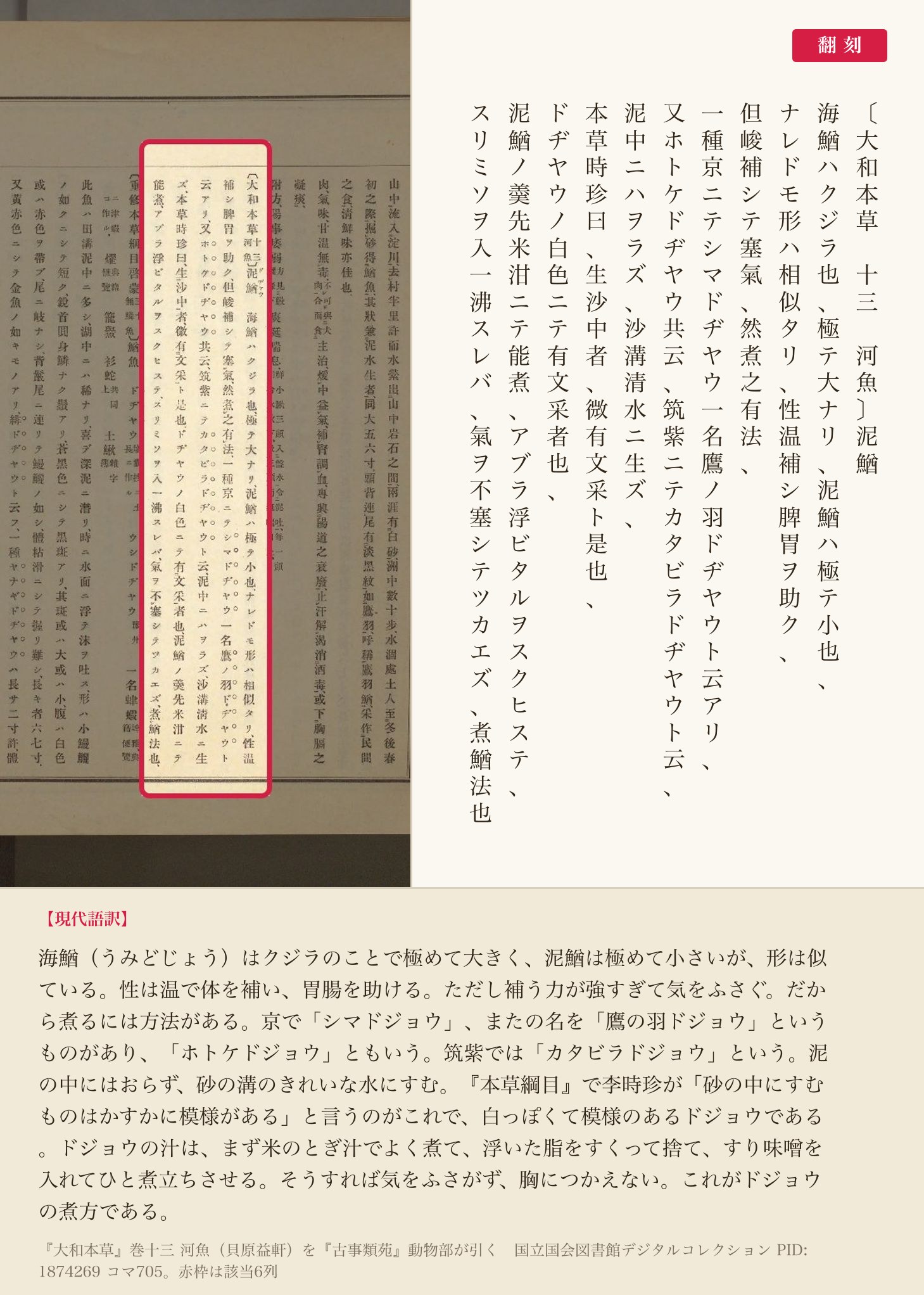 『古事類苑』動物部が引く『大和本草』の、ドジョウの性質・種類・煮方を記した箇所と翻刻