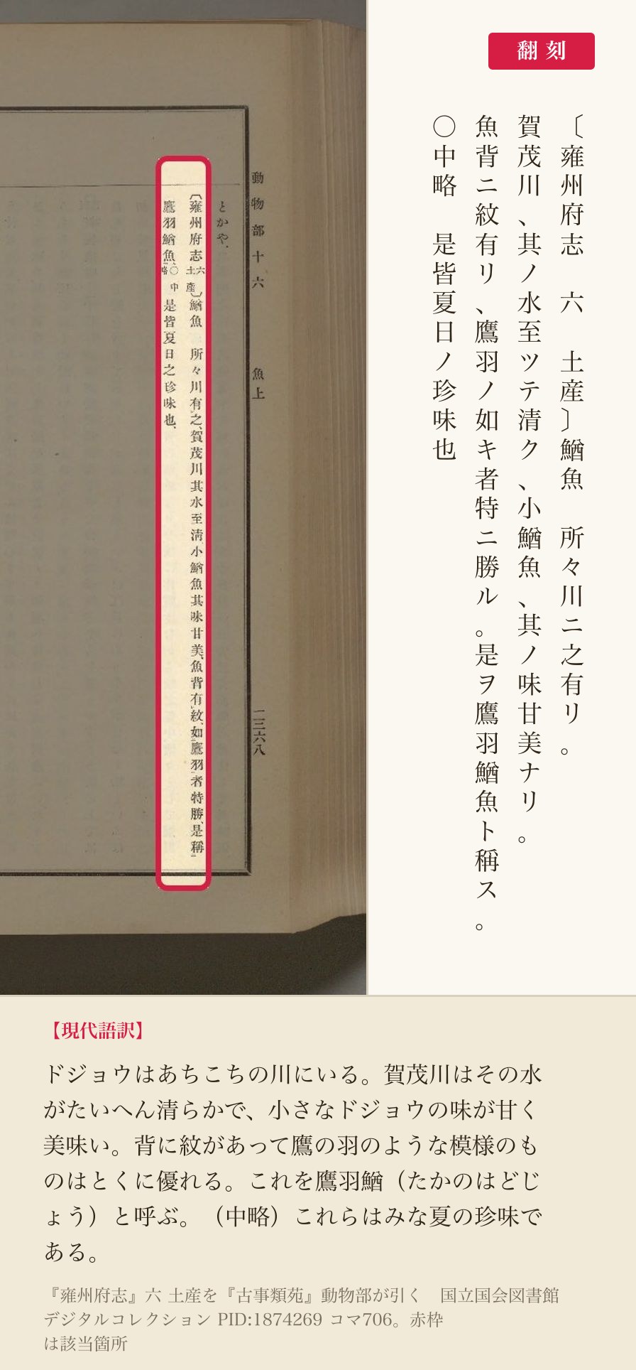 『古事類苑』動物部が引く『雍州府志』六 土産の、賀茂川のドジョウを記した箇所と翻刻