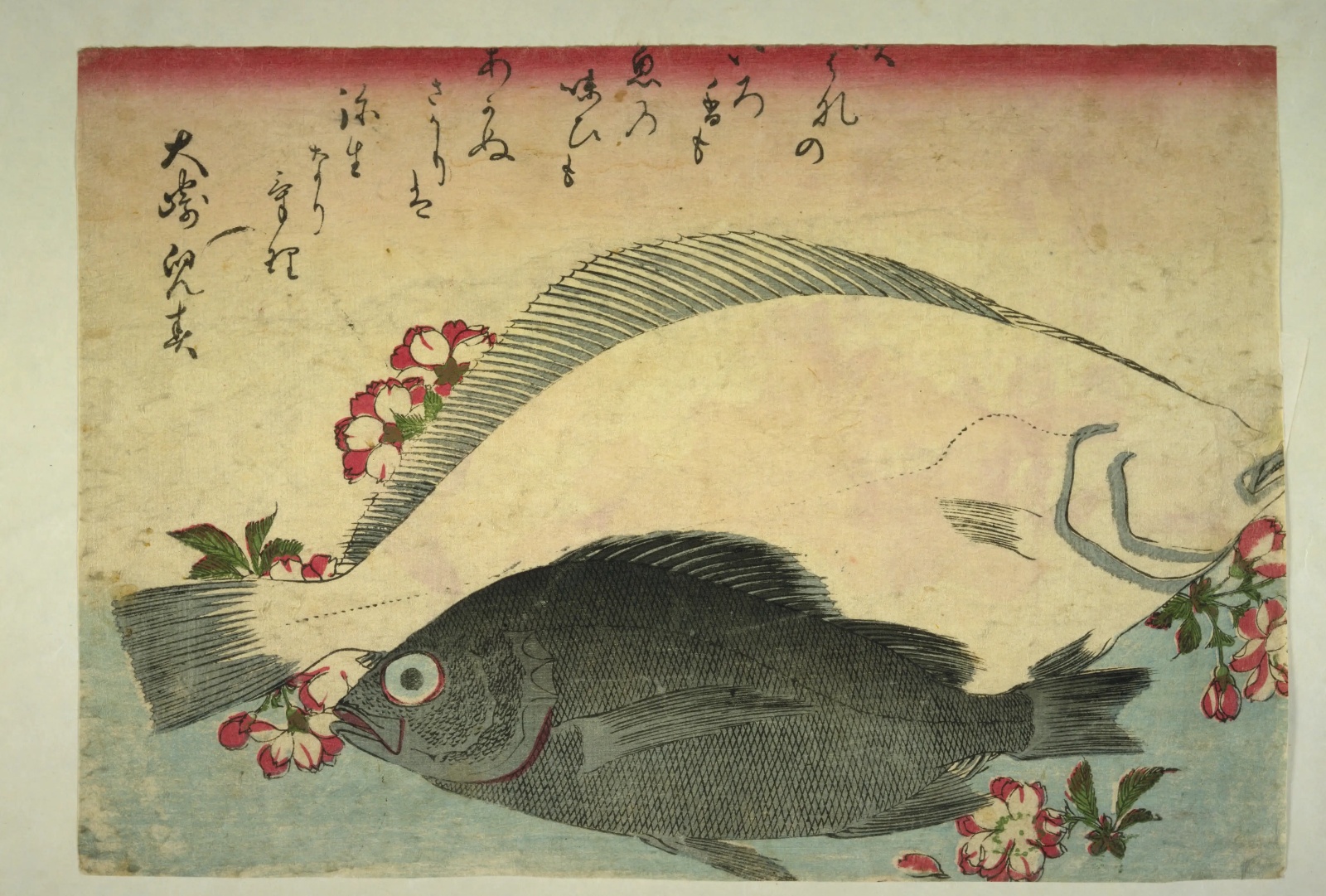 歌川広重『魚尽』のヒラメとメバル。白いヒラメと黒いメバルに、桜の枝が添えられている