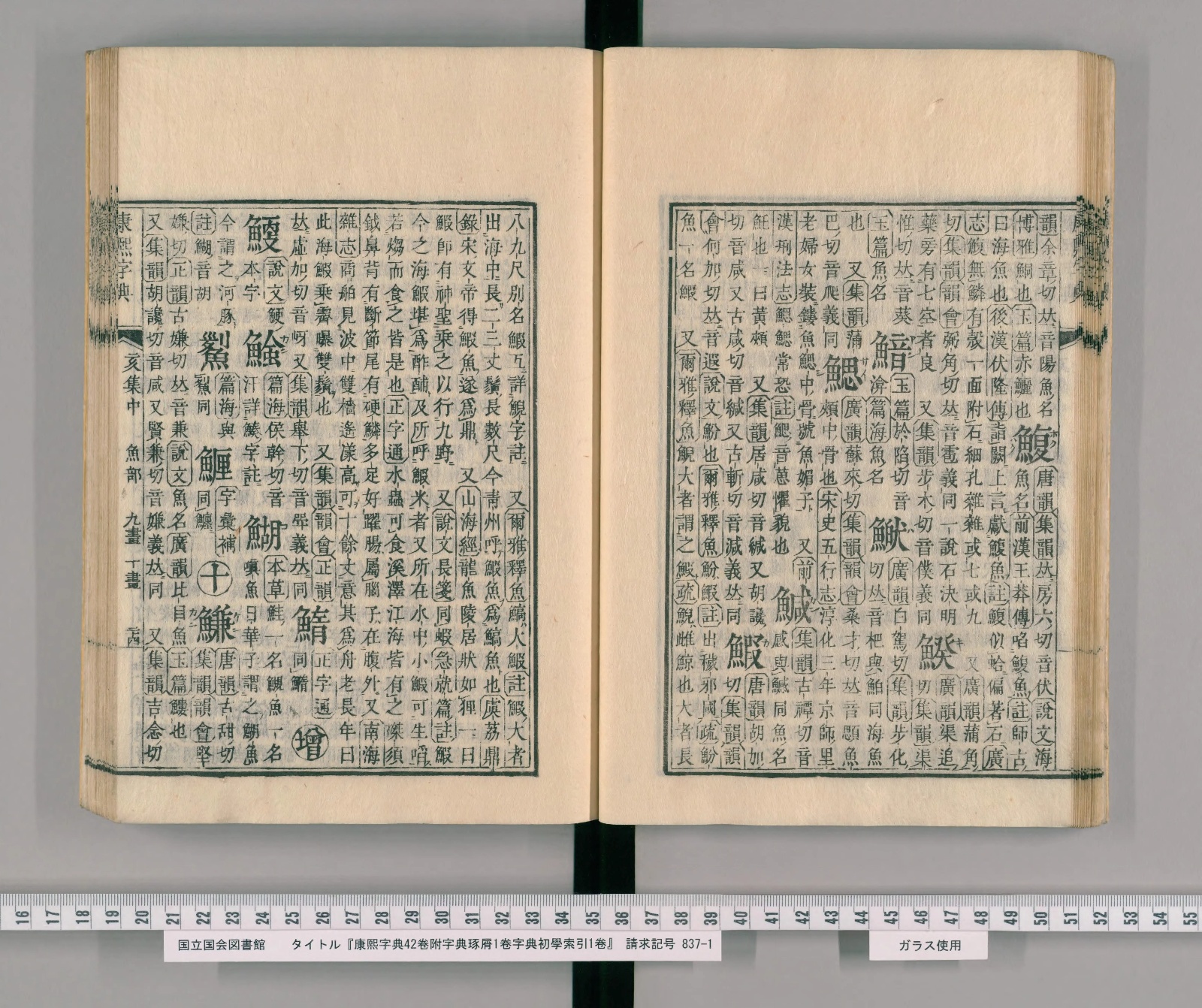 『康熙字典』魚部九画コマ26の見開き。右ページの右端の列に見出し「鰒」