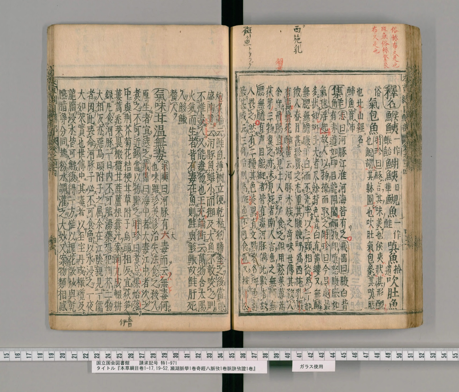 『本草綱目』巻四十四コマ91の見開き。右ページの右端に「釋名」の丸囲み、その下に鯸鮧・鯢魚・嗔魚・吹肚魚などの別名