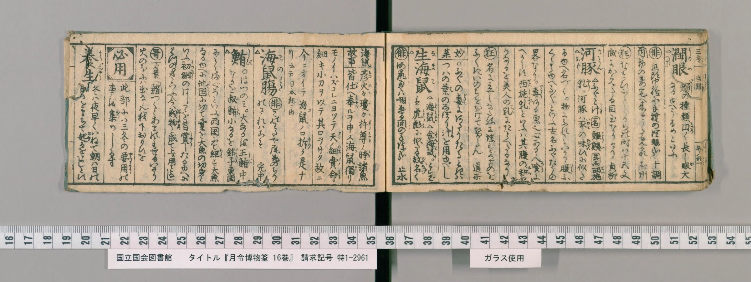 『月令博物筌』コマ35の見開き。右ページに大きな見出し「河豚」「生海鼠」、左ページに「海鼠腸」「鮪」の見出しと「養生」の欄