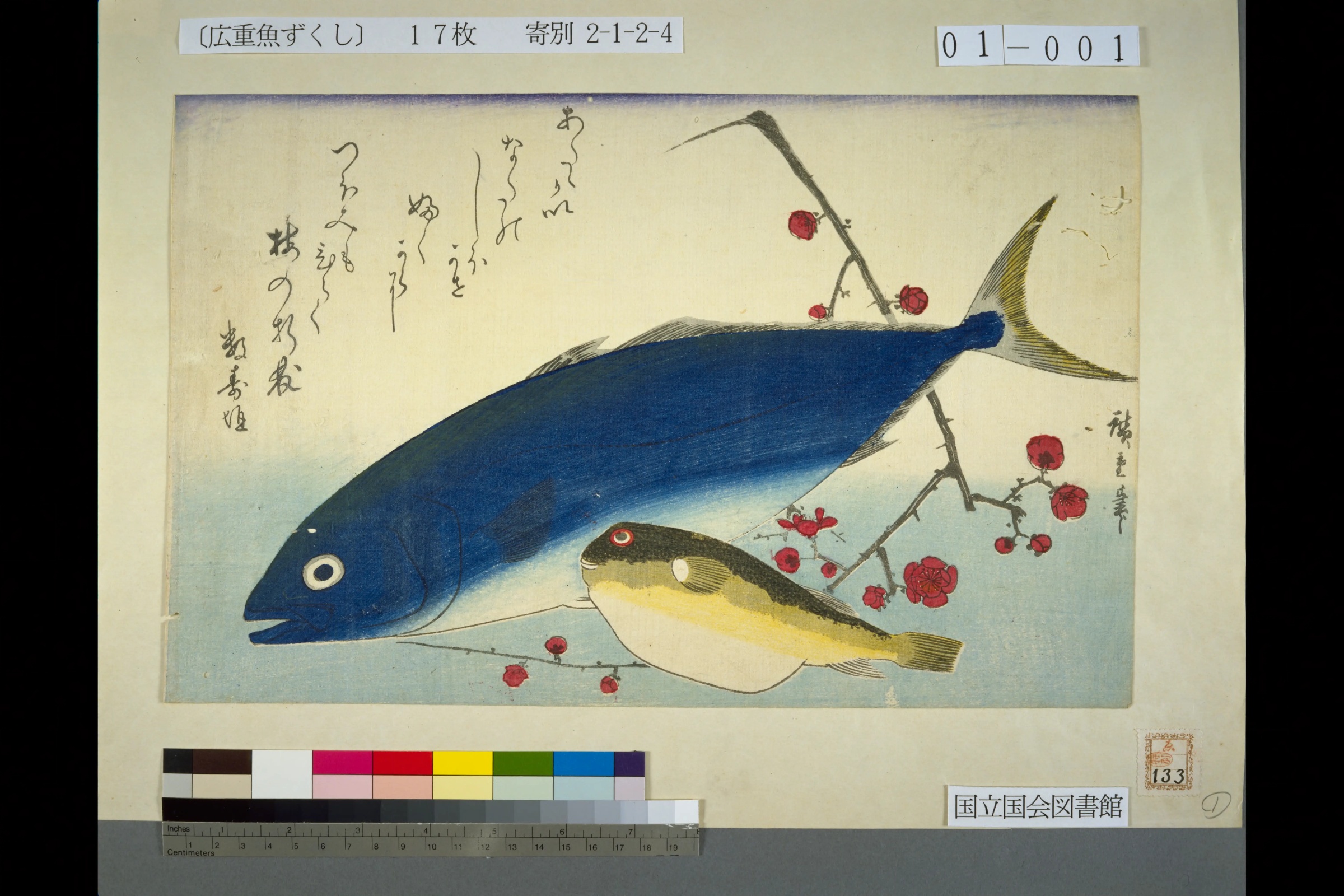 歌川広重の魚づくしシリーズの1枚。手前にフグ、奥に大きな青い魚、背景に紅梅の枝