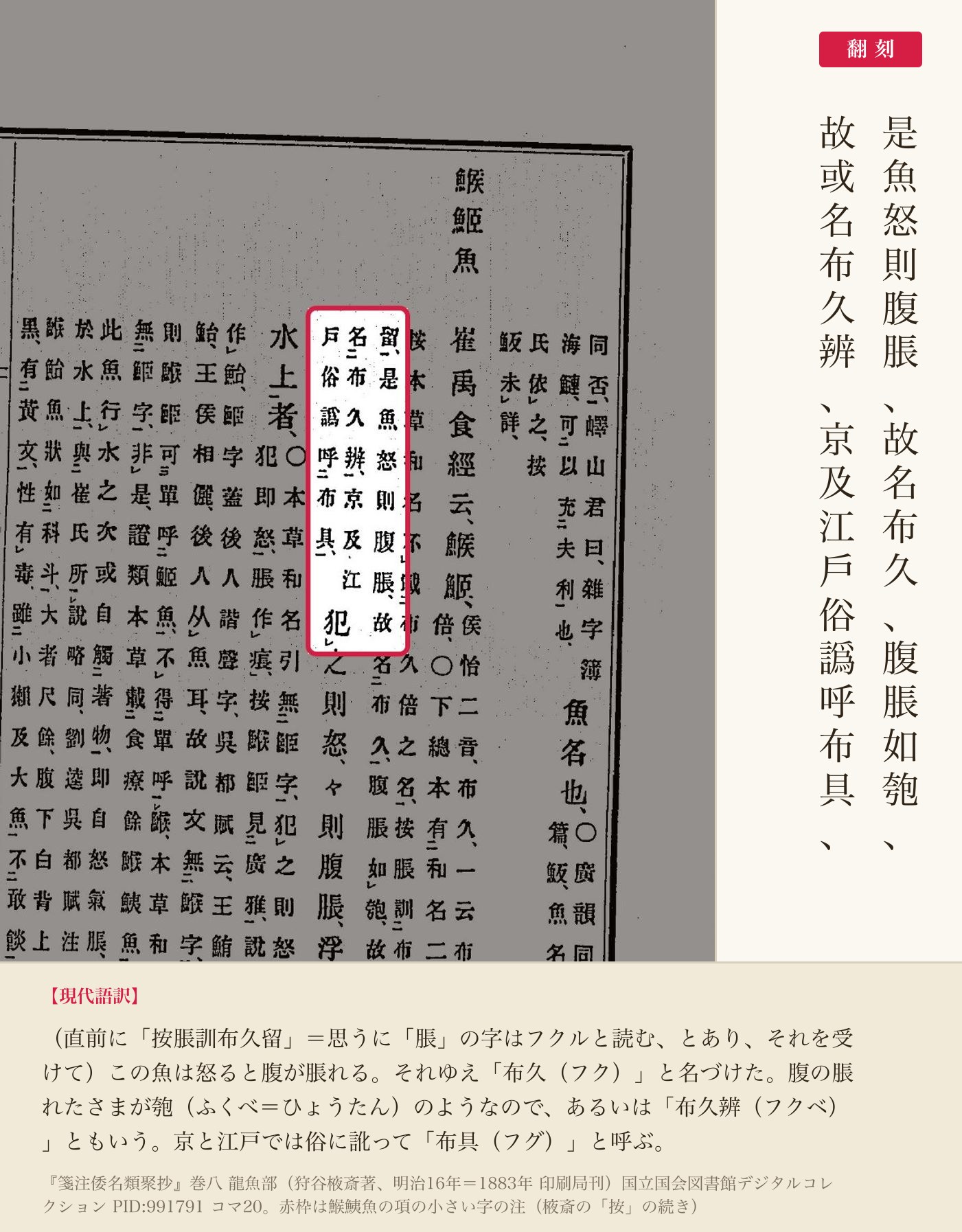 『箋注倭名類聚抄』巻八、鯸鮧魚の項の注の該当箇所と翻刻