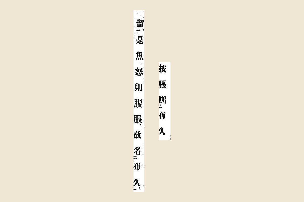 『箋注倭名類聚抄』巻八の注から「按脹訓布久」と「留是魚怒則腹脹故名布久」を切り出したもの