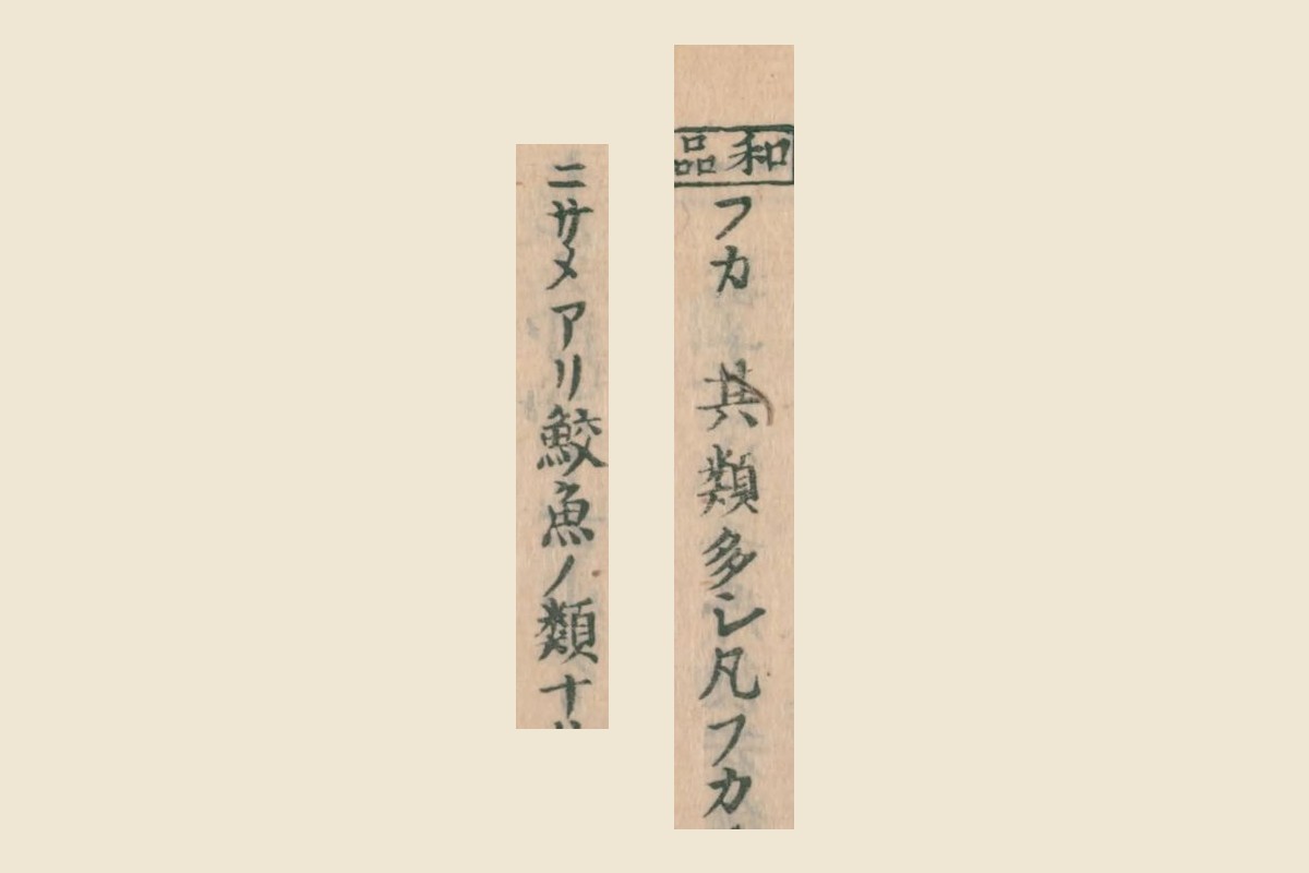 『大和本草』巻十三コマ21の「和品」の枠とカタカナの見出し「フカ」の大写し