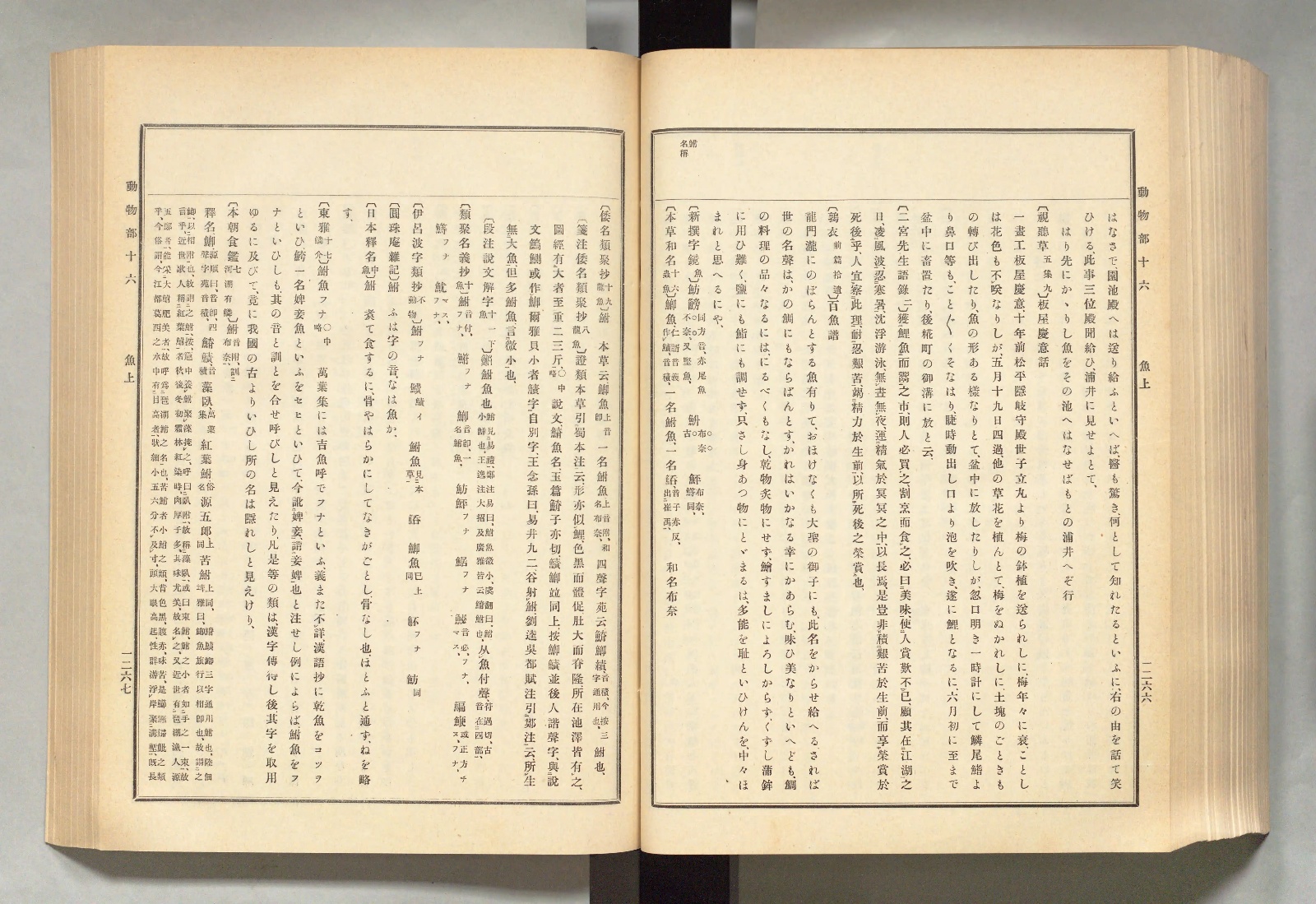 『古事類苑』動物部を開いたところ。右ページ上部の欄外に「鮒 名稱」とある