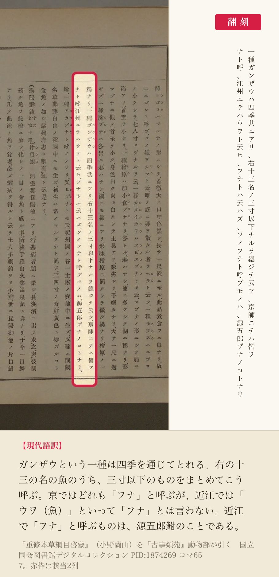 『古事類苑』動物部が引く『本草綱目啓蒙』の、近江でのフナの呼び方を記した2列と翻刻