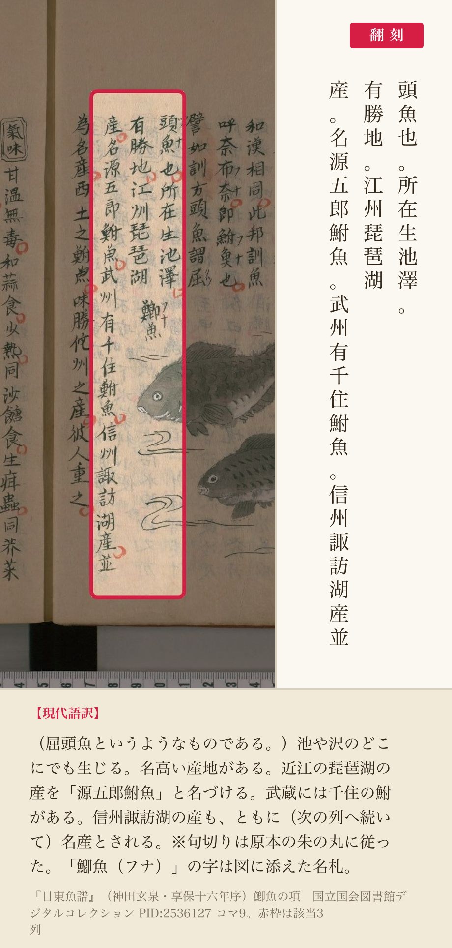 『日東魚譜』鯽魚（フナ）の項。琵琶湖の産の名として「源五郎鮒魚」が挙がる