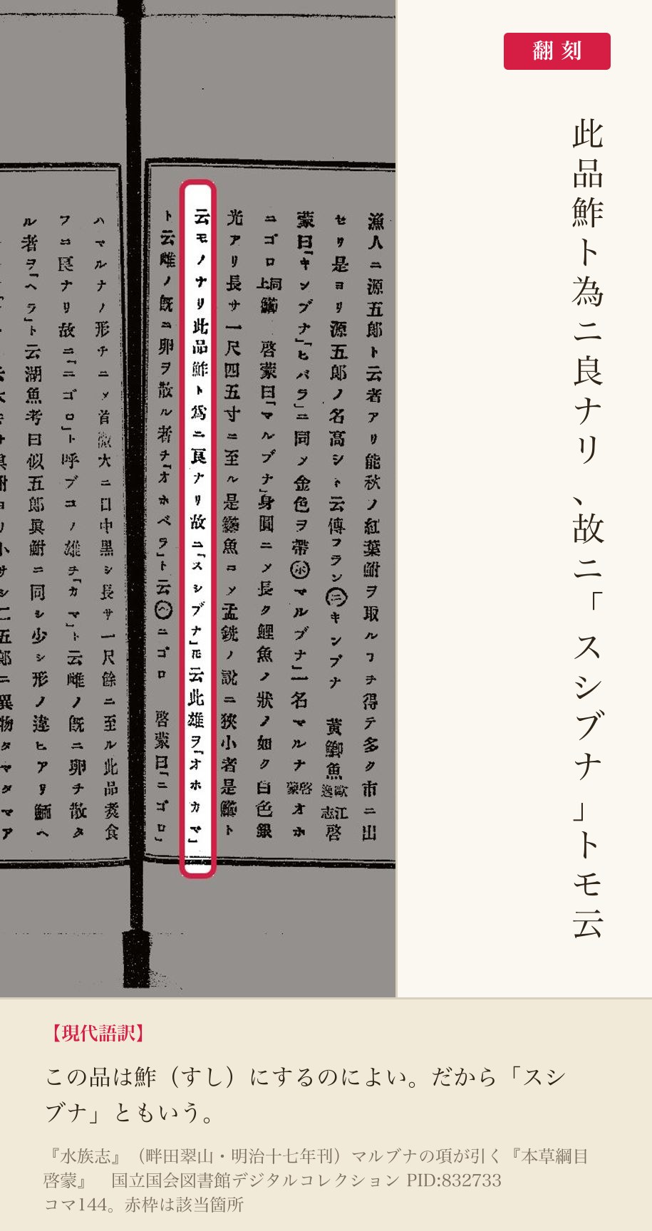 『水族志』マルブナの項に引かれた『本草綱目啓蒙』の、「スシブナ」の名を記した箇所と翻刻