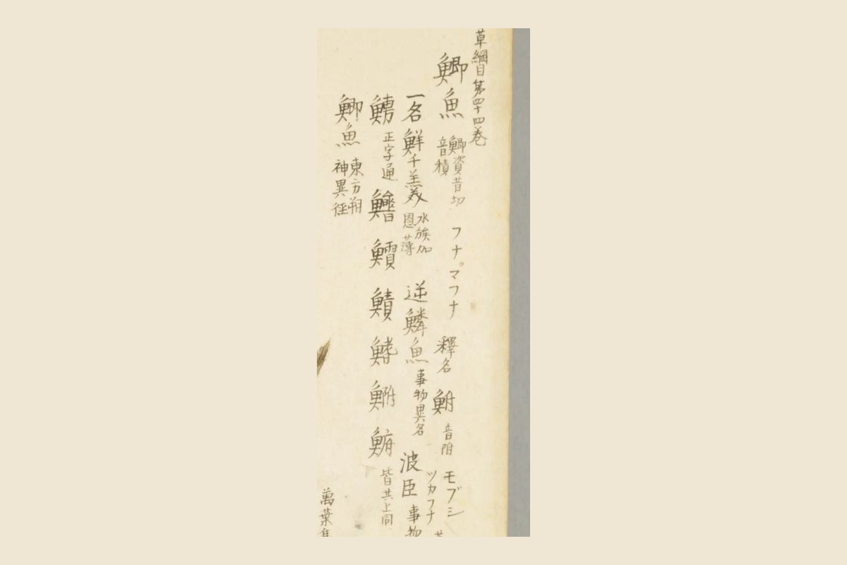 『梅園魚品図正』の金鮒・黒鮒の図の右上の書き入れ「本草綱目第四十四巻　鯽魚　フナ　マフナ」と、異体字の列の大写し