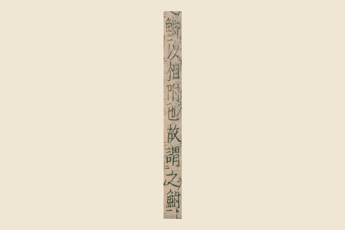 『本草綱目』コマ68の「鯽以相附也故謂之鮒」の大写し