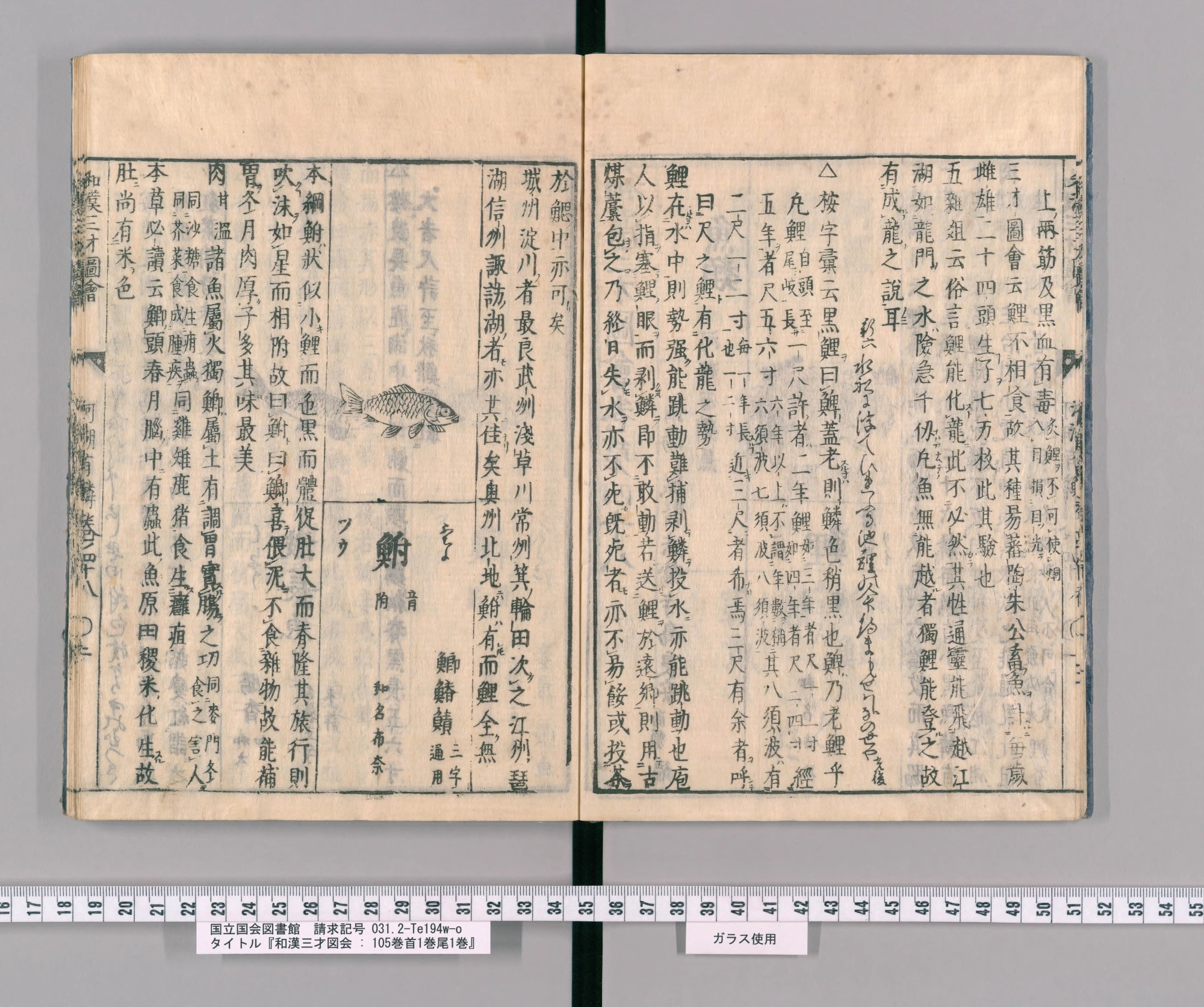 『和漢三才図会』巻四十八コマ6の見開き。左ページ上にフナの絵、その下に見出し「鮒」
