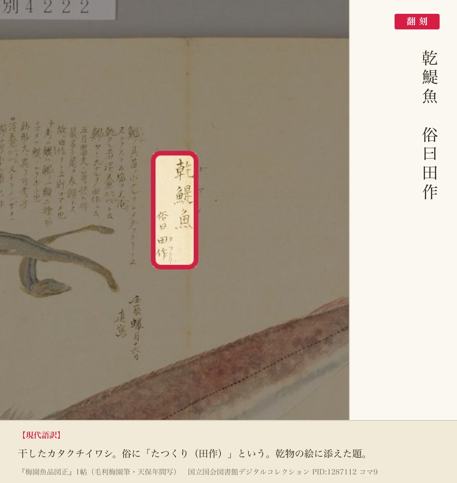 『梅園魚品図正』コマ9の「乾鯷魚 俗曰田作」の題と翻刻