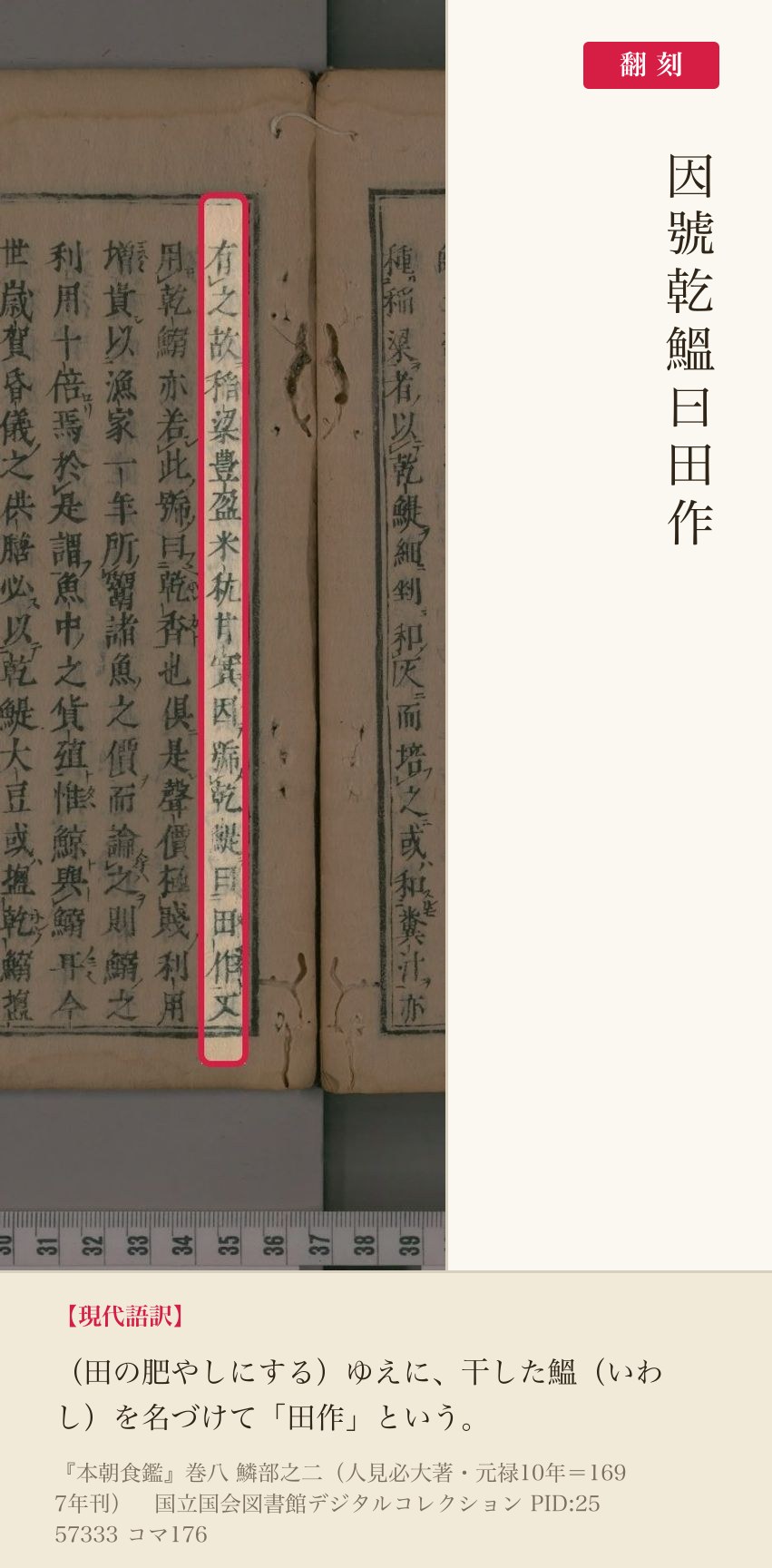 『本朝食鑑』巻八コマ176の「因号乾鰮曰田作」の列と翻刻