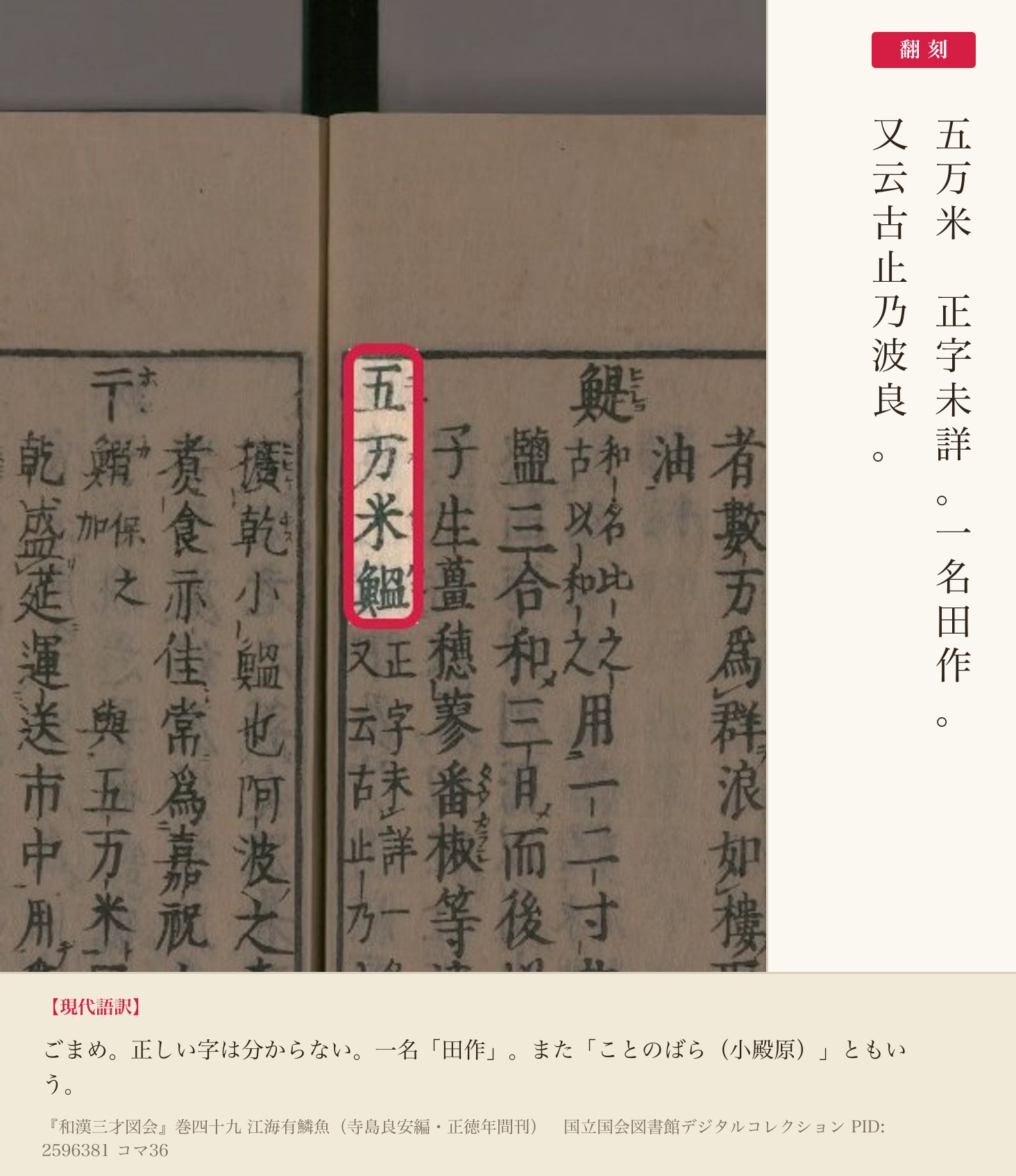 『和漢三才図会』コマ36の「五万米 正字未詳 一名田作 又云古止乃波良」の見出しと翻刻